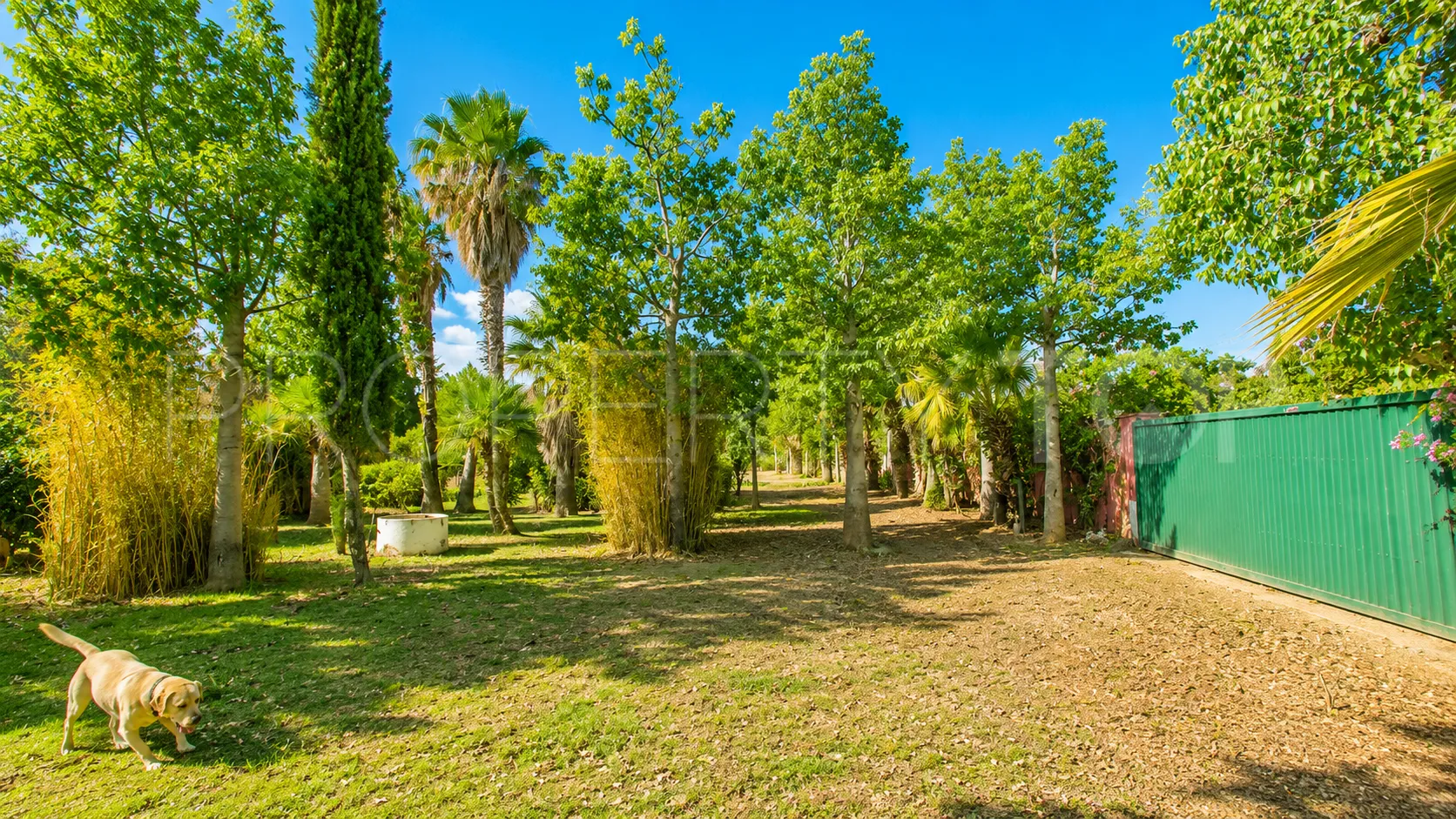 Finca en venta en Estepona