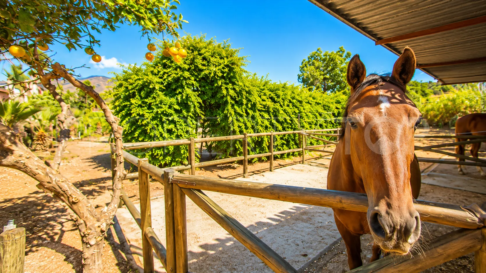 Finca en venta en Estepona
