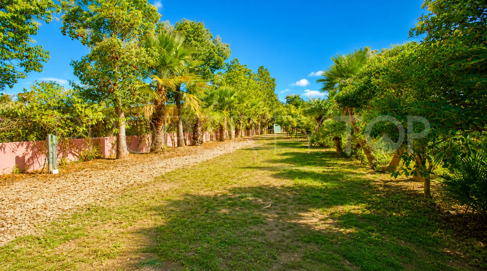 Finca en venta en Estepona