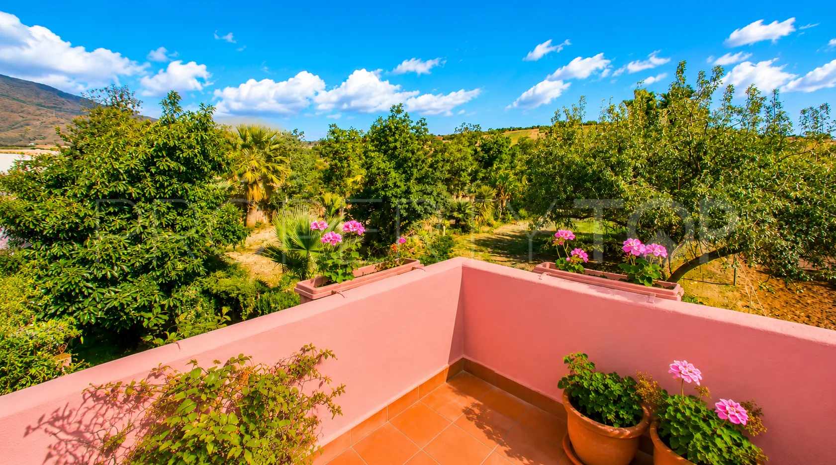 Finca en venta en Estepona