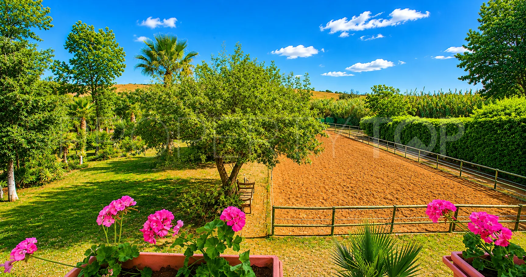 Finca en venta en Estepona