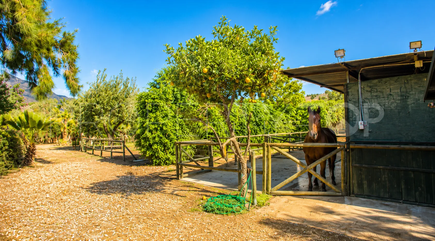 Finca en venta en Estepona
