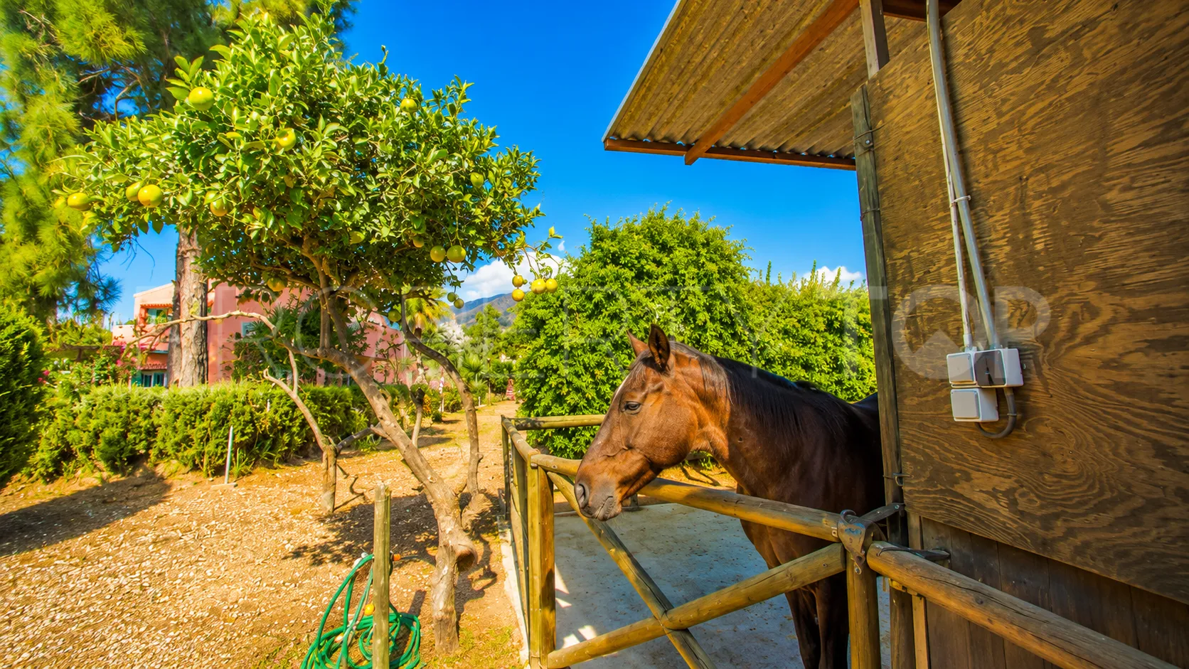Finca en venta en Estepona