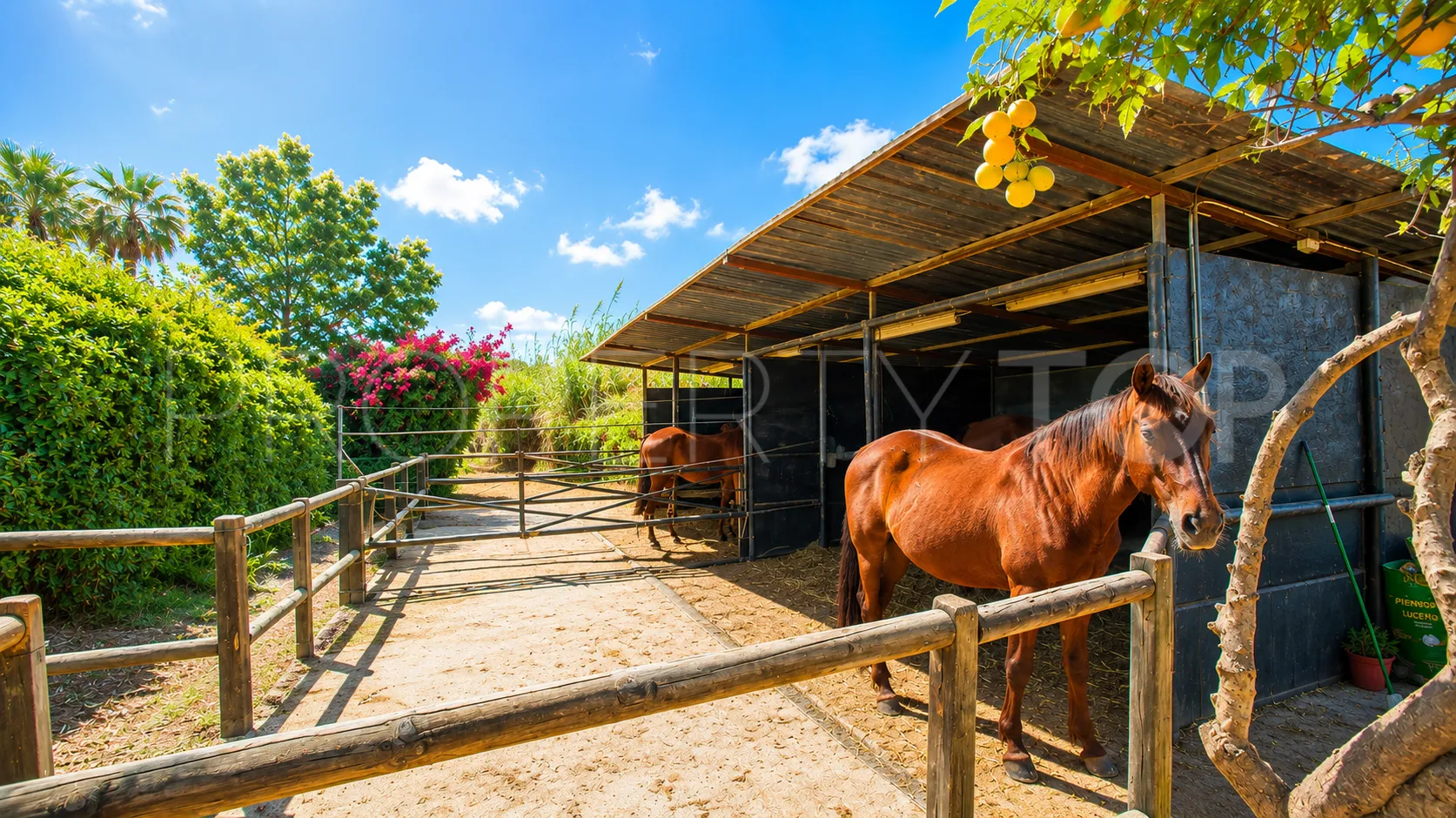 Finca en venta en Estepona