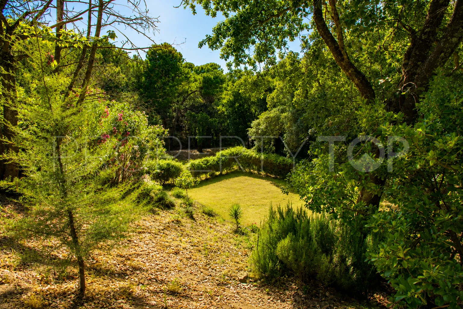 Finca con 3 dormitorios a la venta en Casares