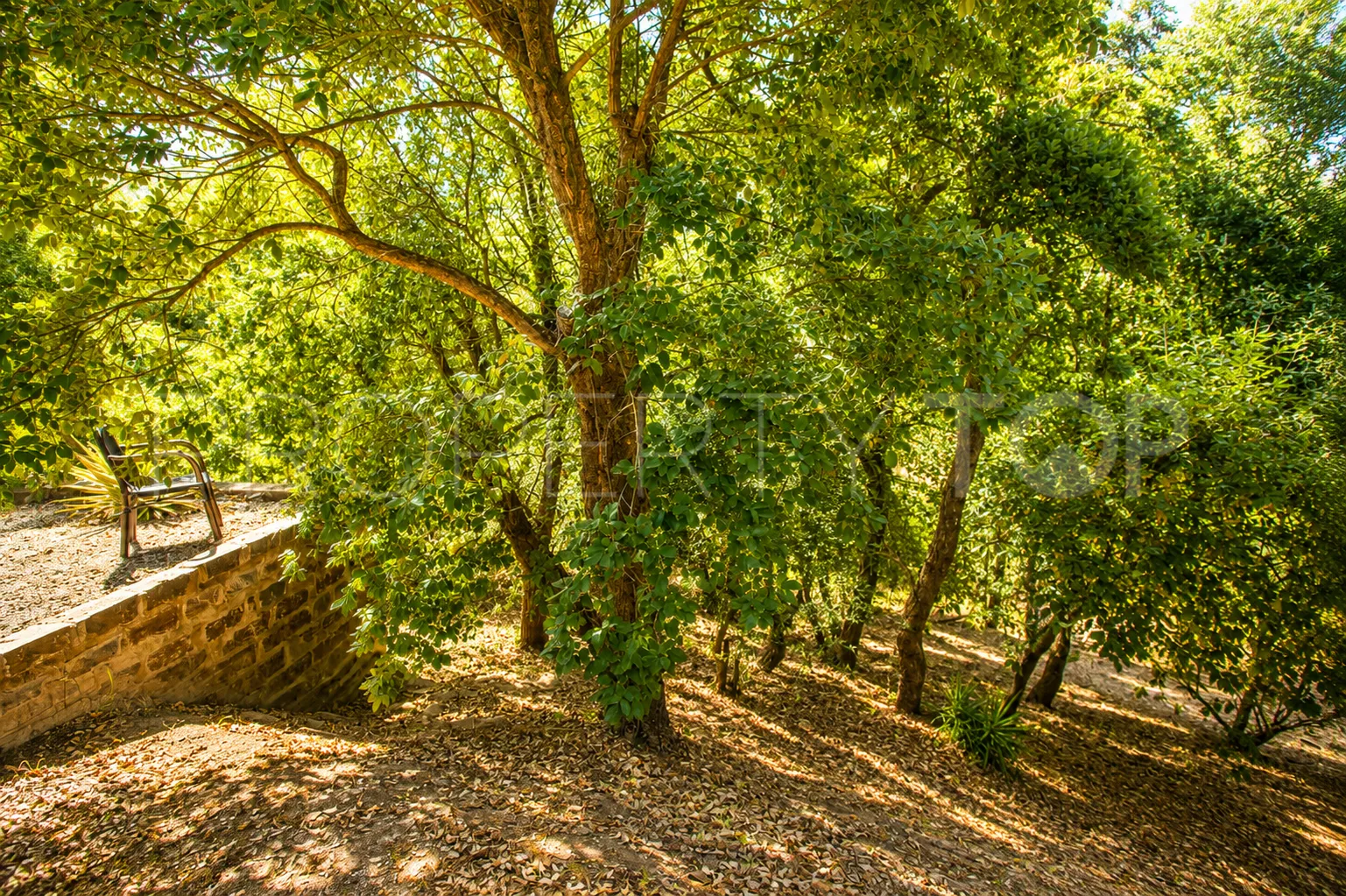 Finca con 3 dormitorios a la venta en Casares