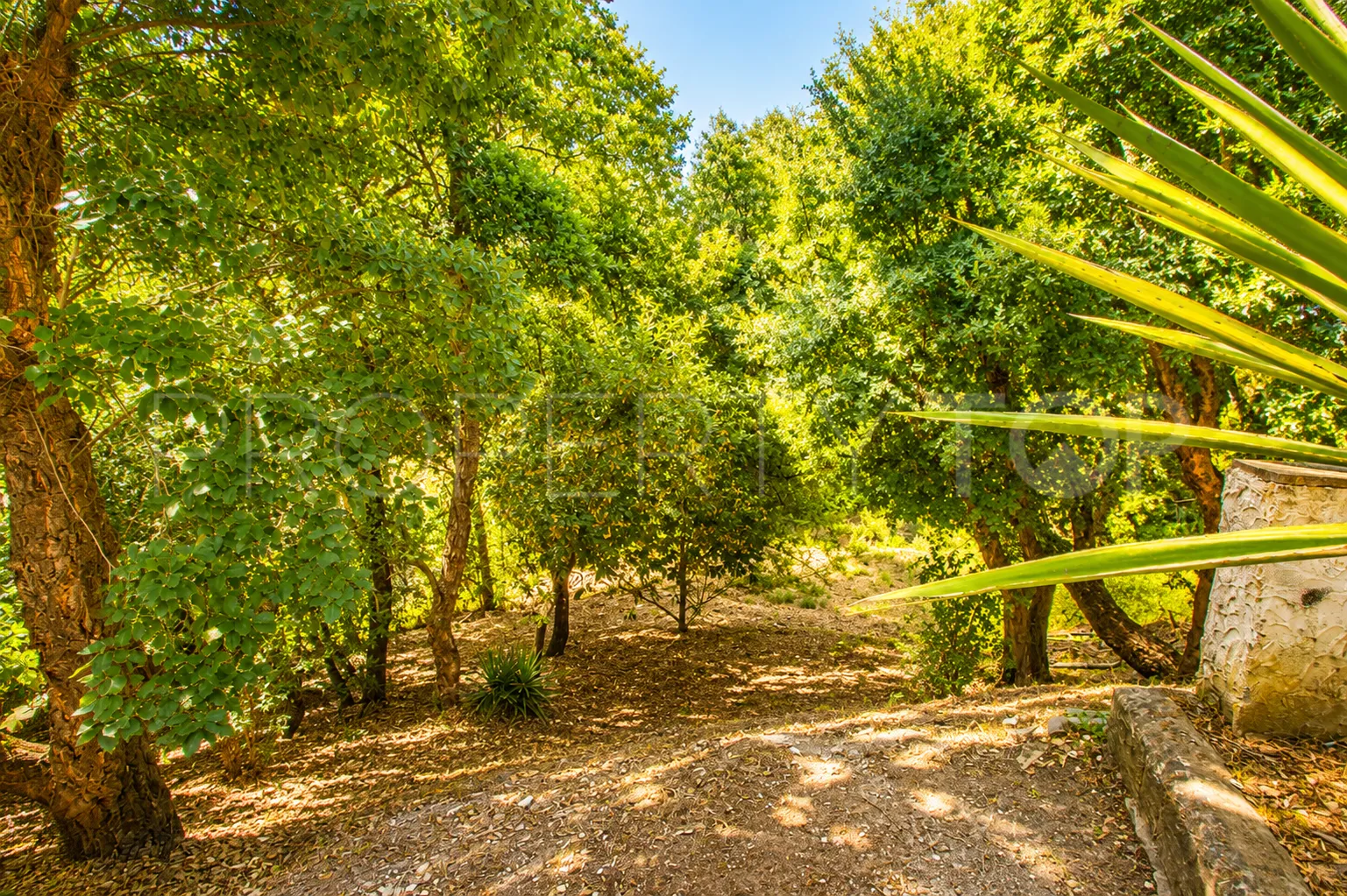 Finca con 3 dormitorios a la venta en Casares
