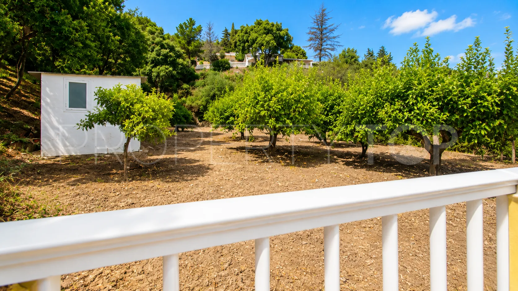 3 bedrooms finca in Estepona for sale