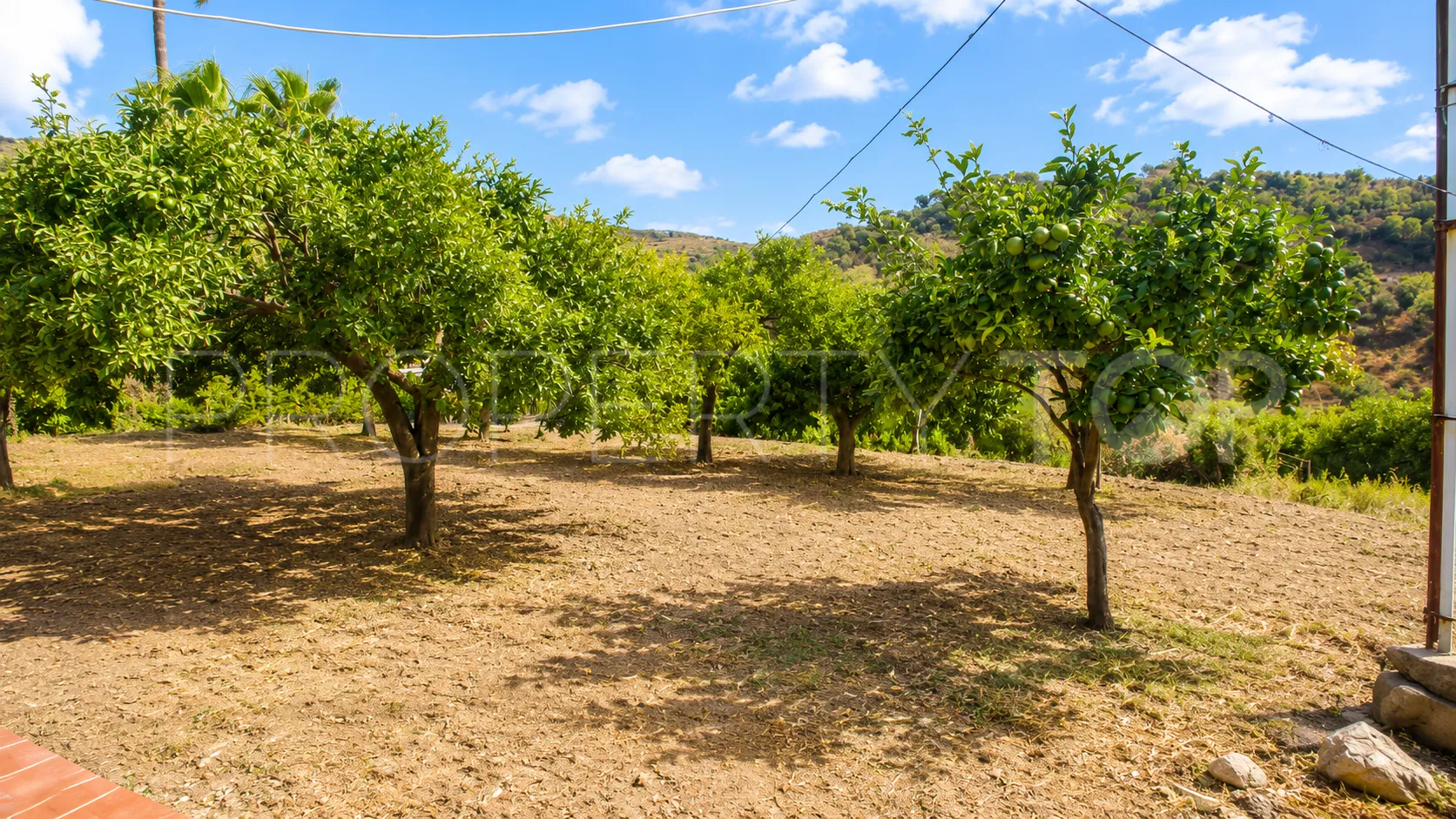 3 bedrooms finca in Estepona for sale