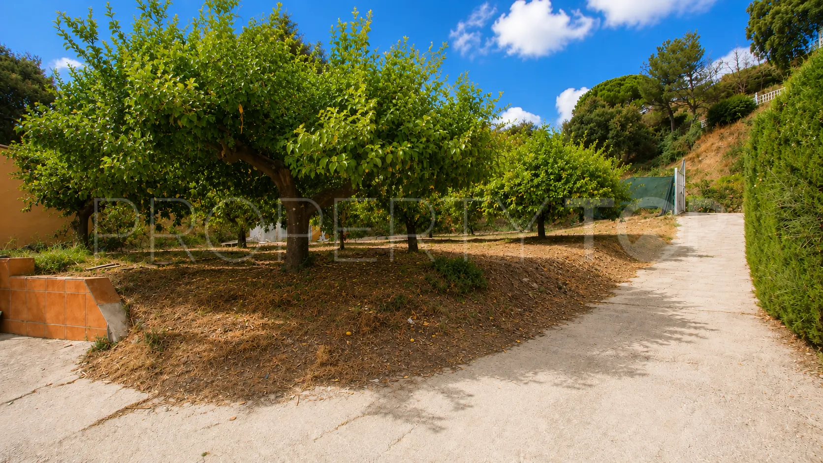 3 bedrooms finca in Estepona for sale