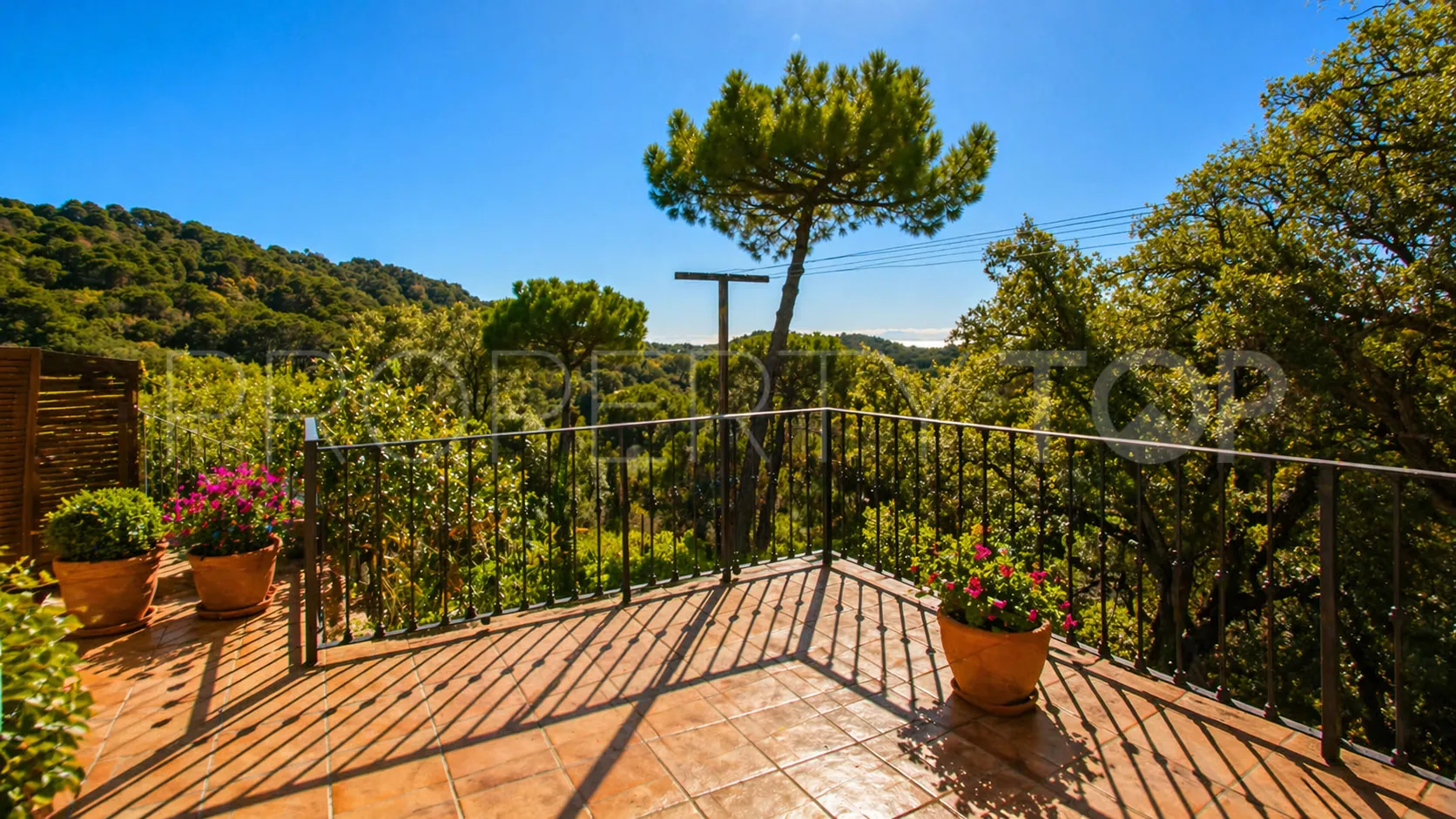 Se vende finca en Casares de 5 dormitorios