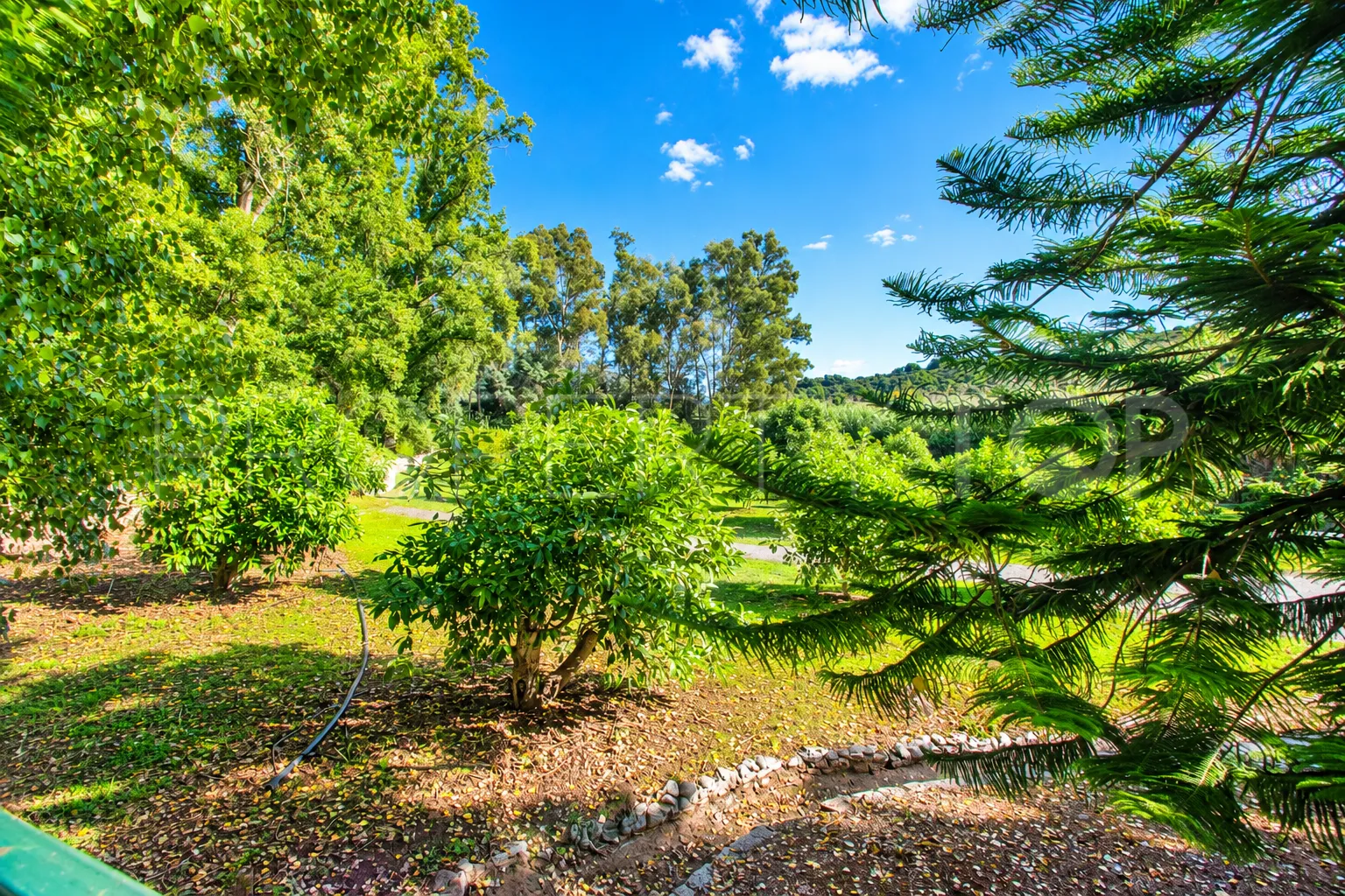 Finca en venta de 8 dormitorios en Casares
