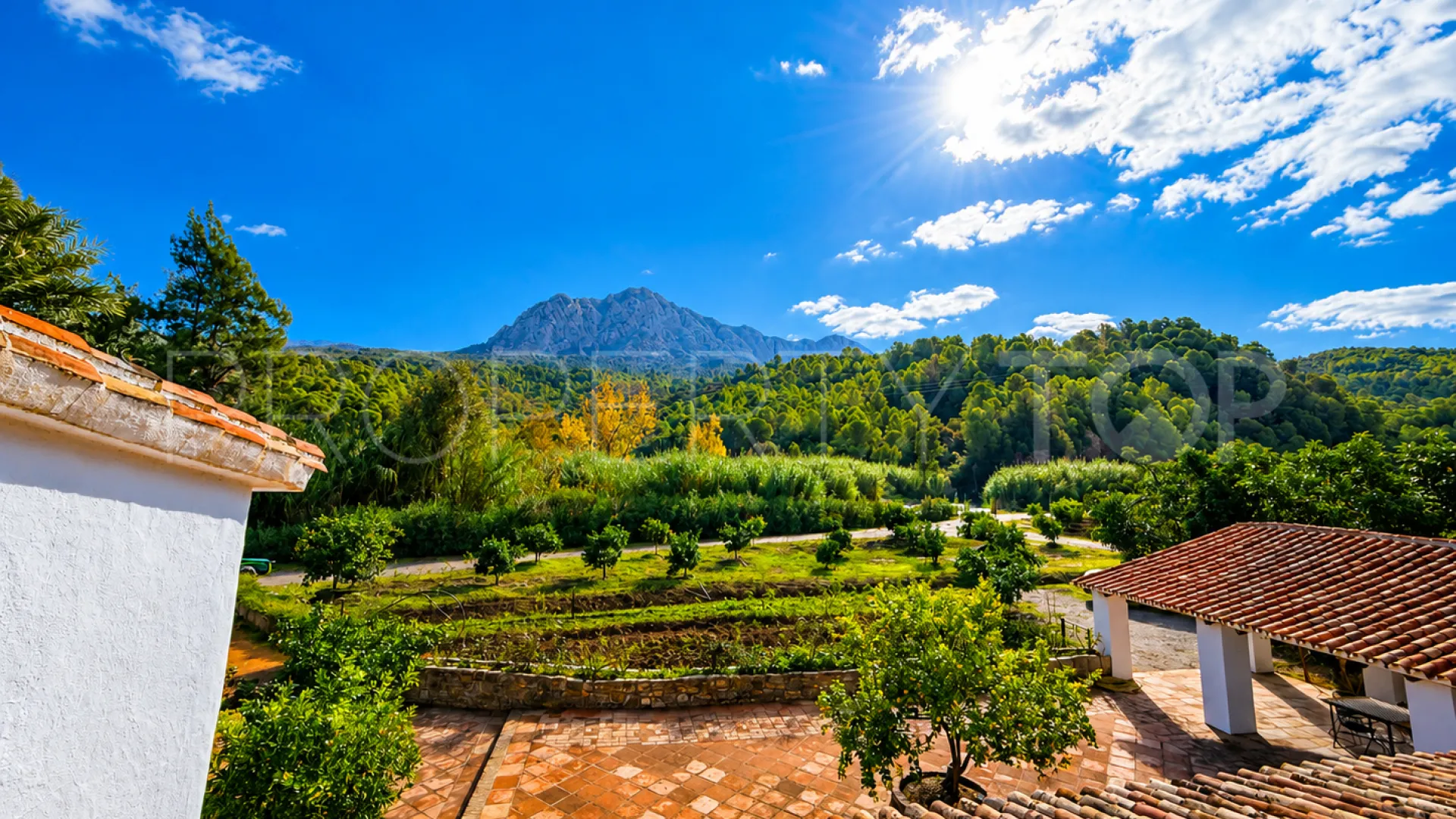 Finca en venta de 8 dormitorios en Casares