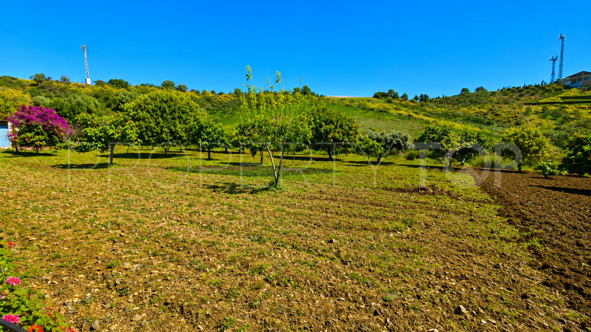 Comprar finca en Estepona