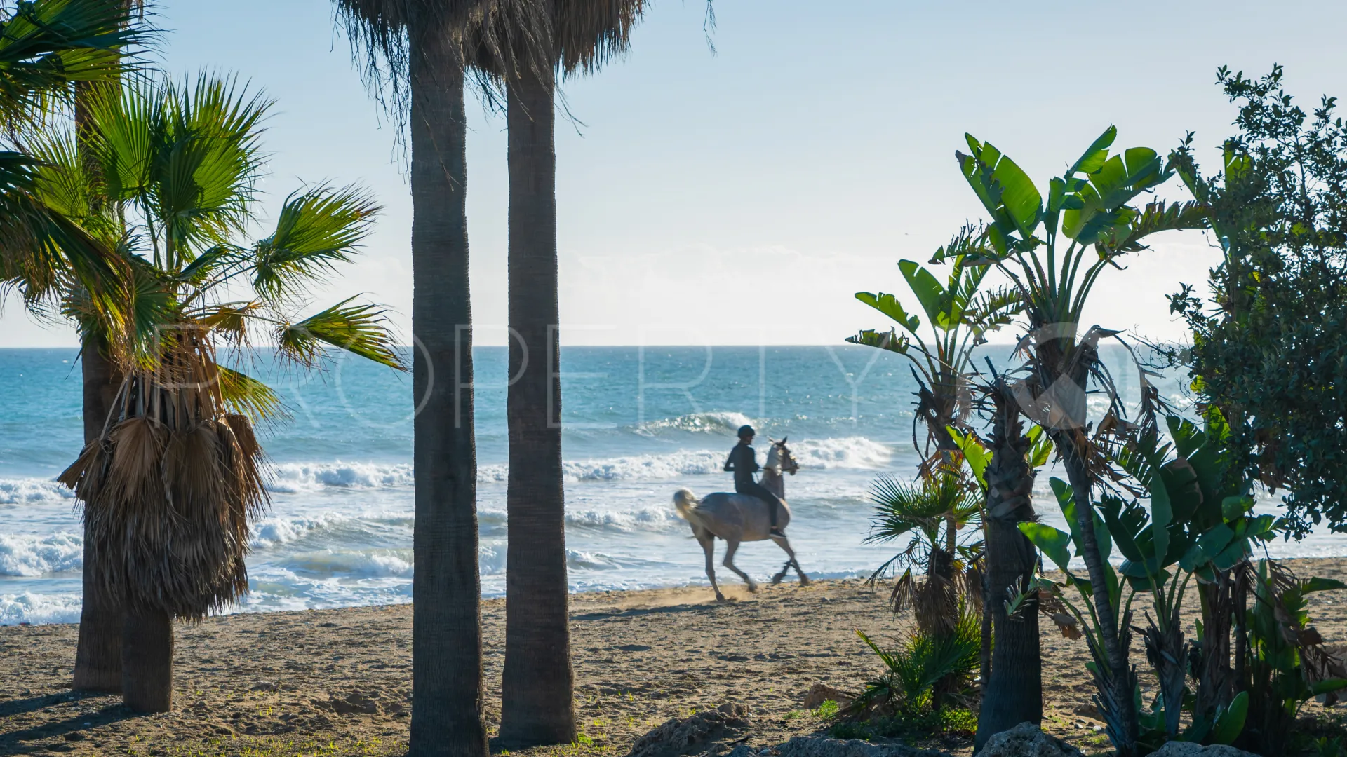 Comprar apartamento en Estepona Centro