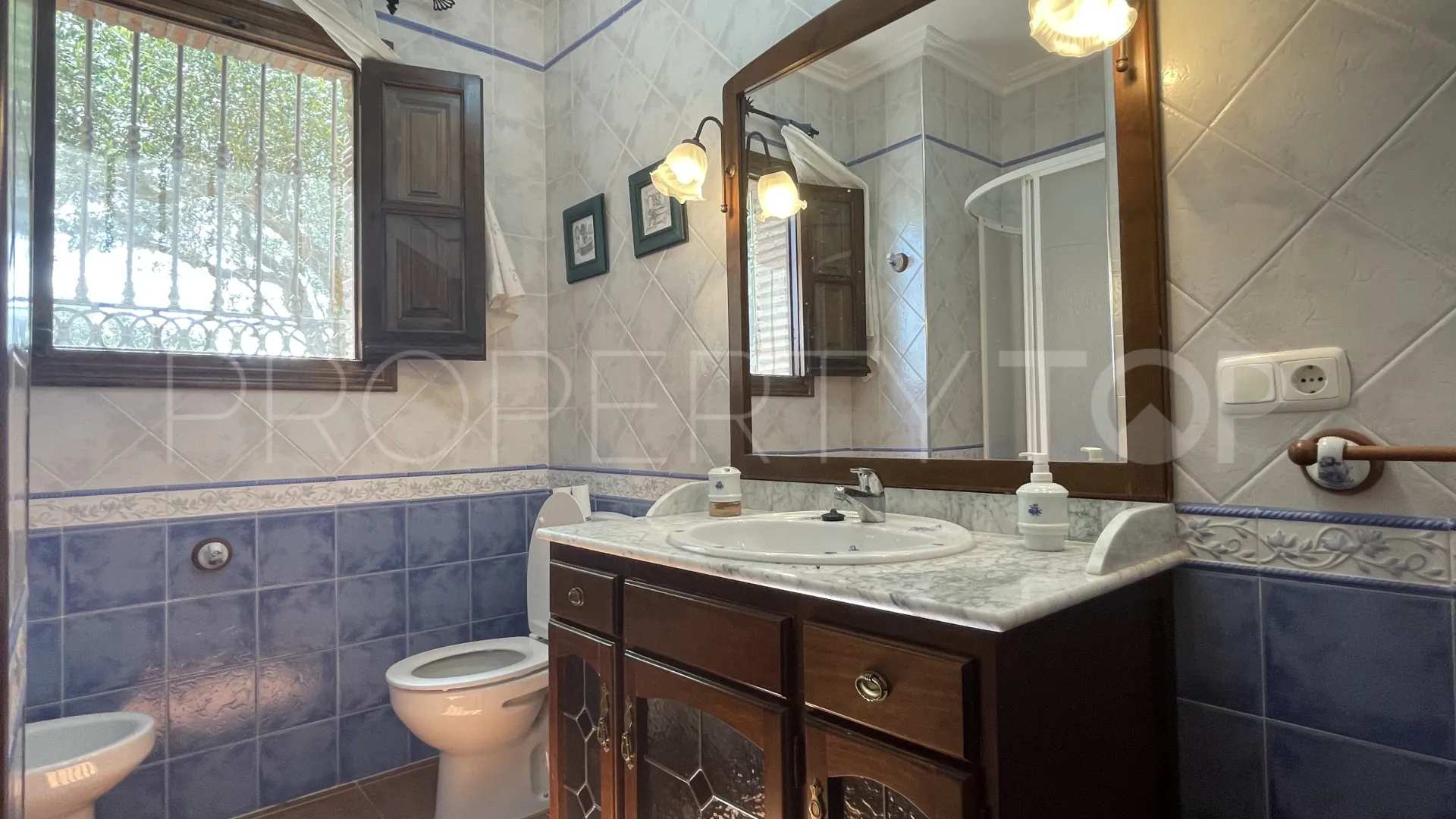 Villanueva de la Concepción country house for sale
