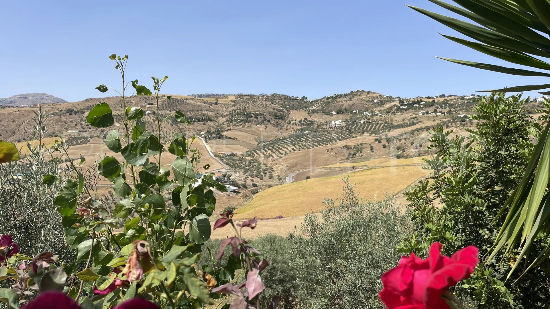 Villanueva de la Concepción country house for sale