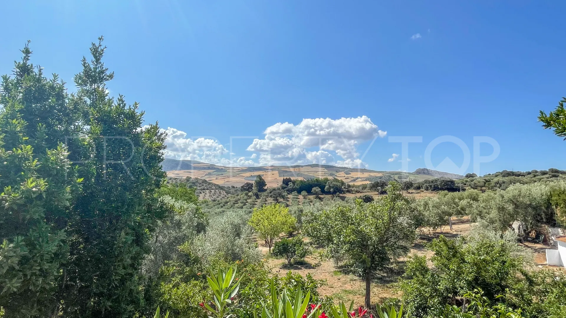 For sale cortijo in Antequera with 6 bedrooms