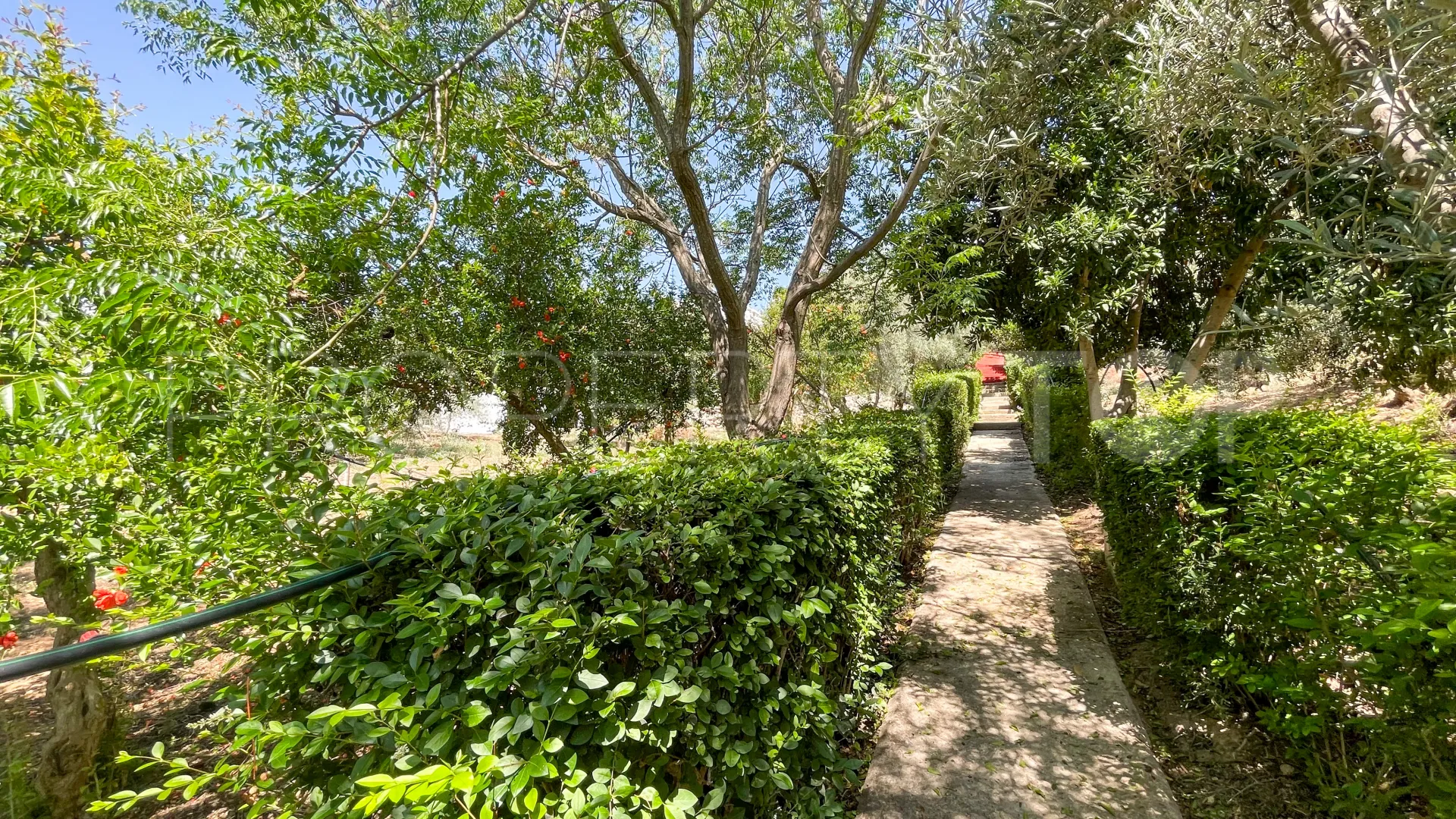 For sale cortijo in Antequera with 6 bedrooms