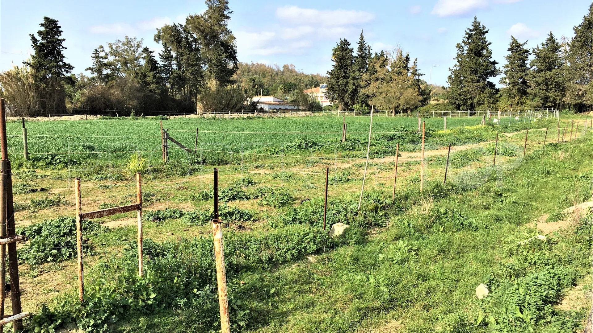 San Enrique de Guadiaro, cortijo en venta