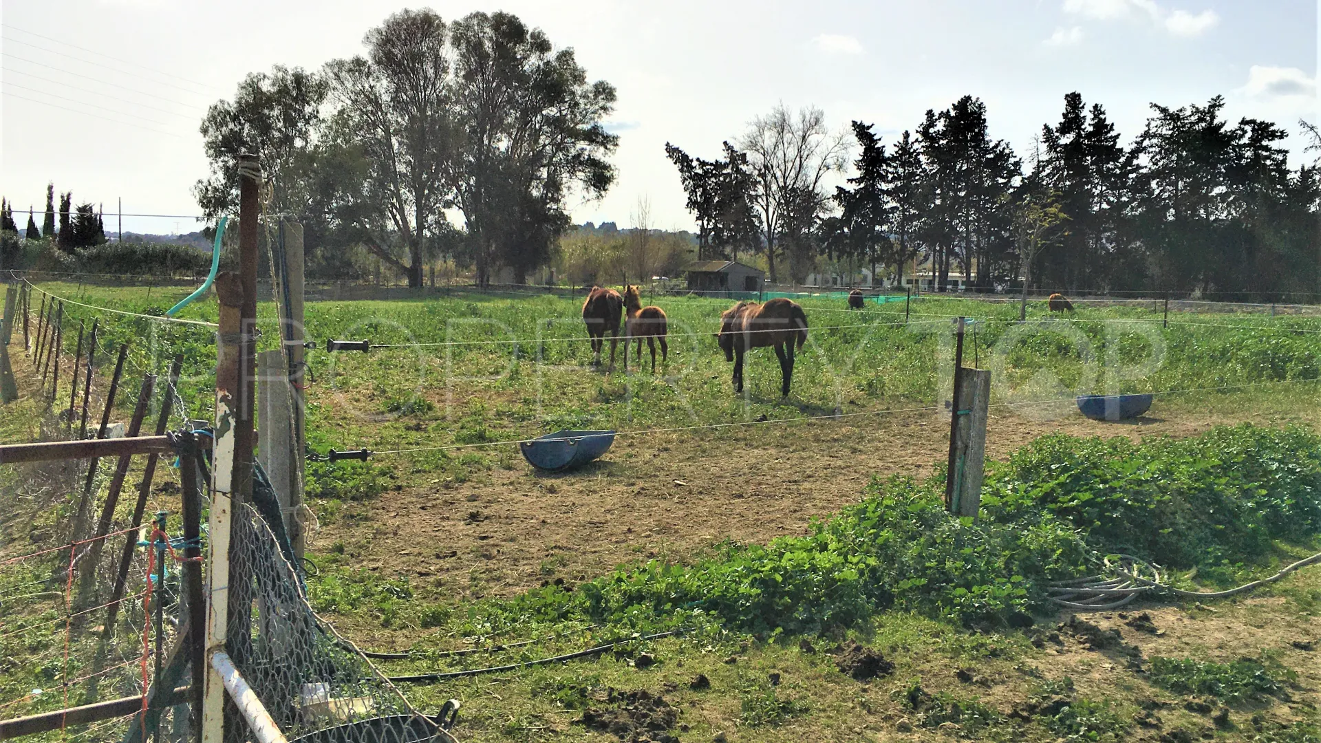 San Enrique de Guadiaro, cortijo en venta
