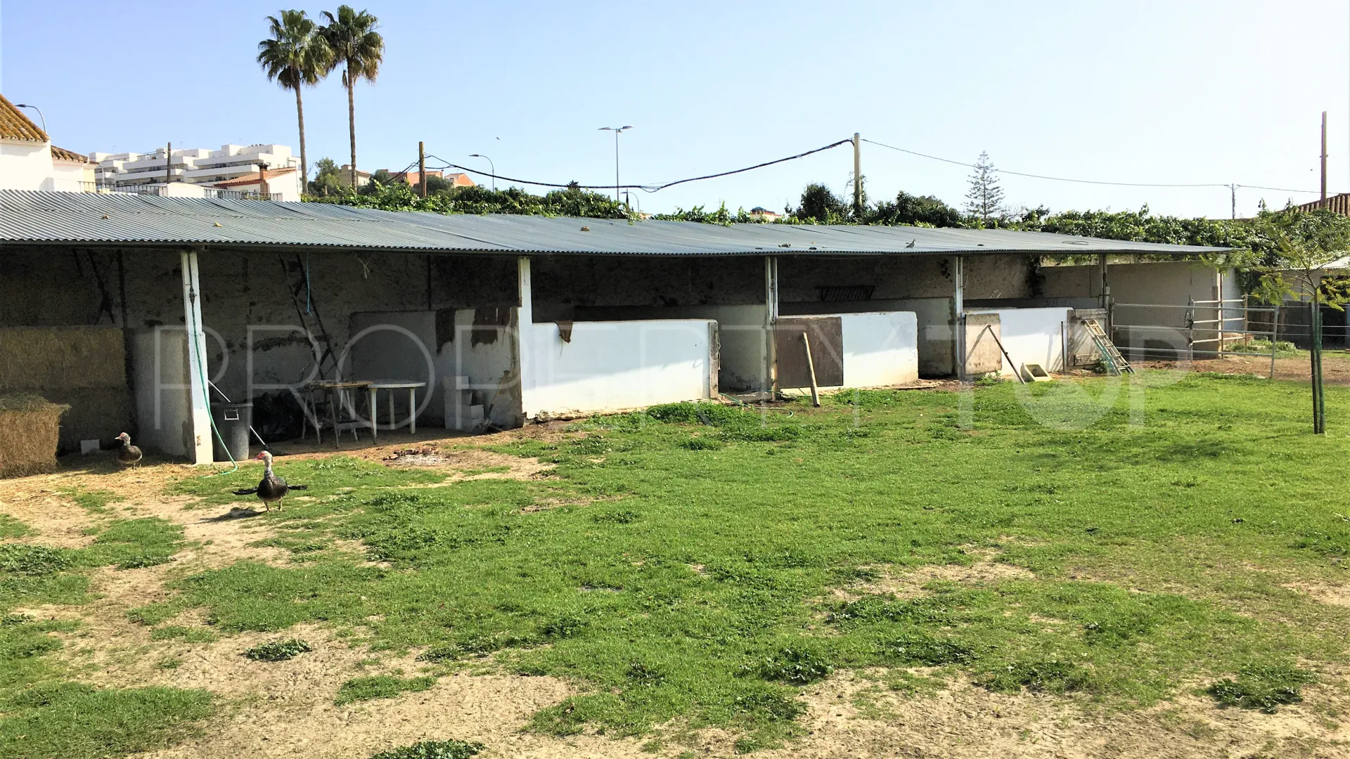 San Enrique de Guadiaro, cortijo en venta