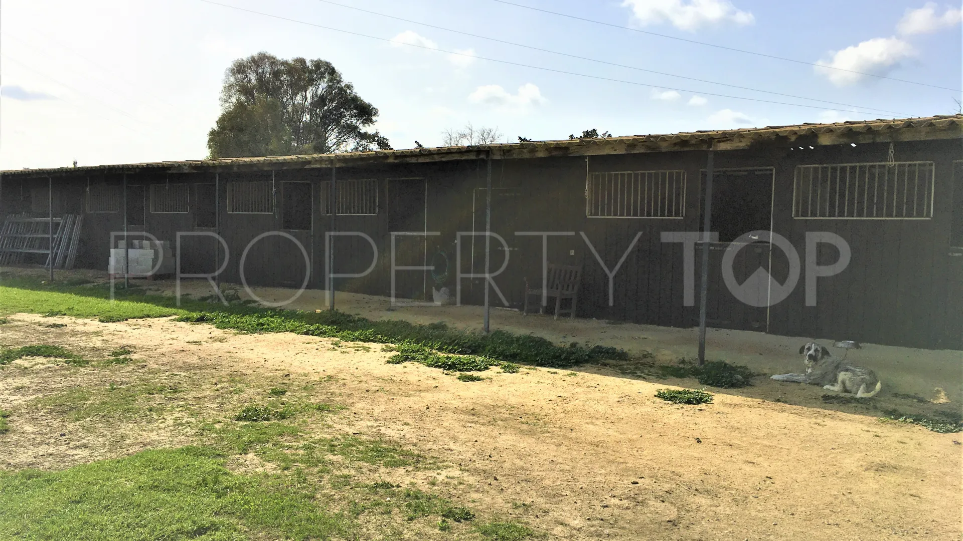 San Enrique de Guadiaro, cortijo en venta