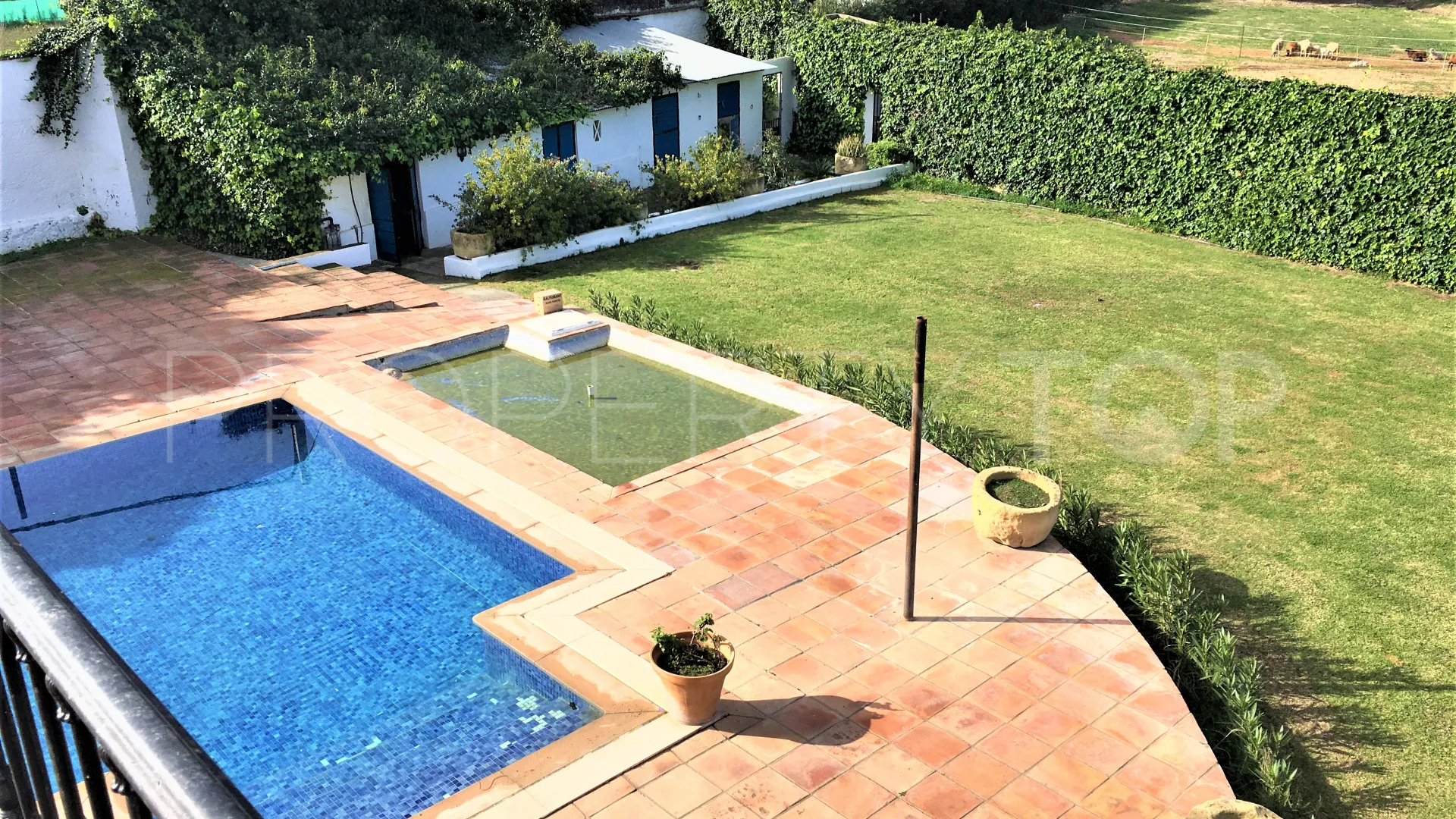 San Enrique de Guadiaro, cortijo en venta