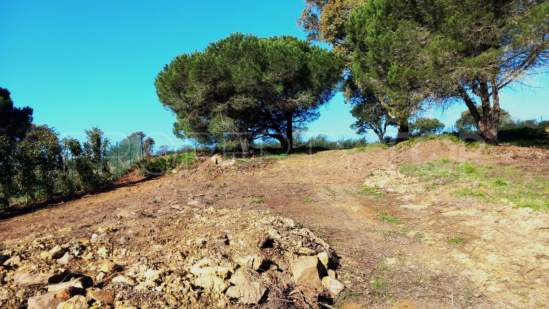 Buy plot in Zona M