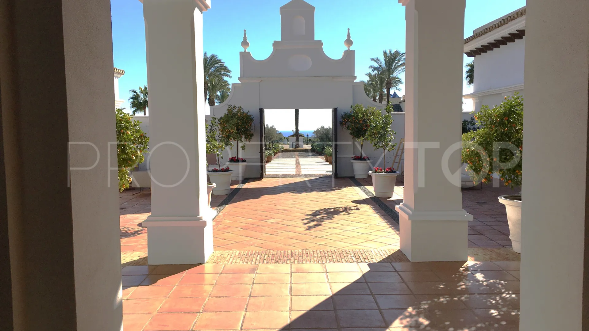 Buy plot in Zona M