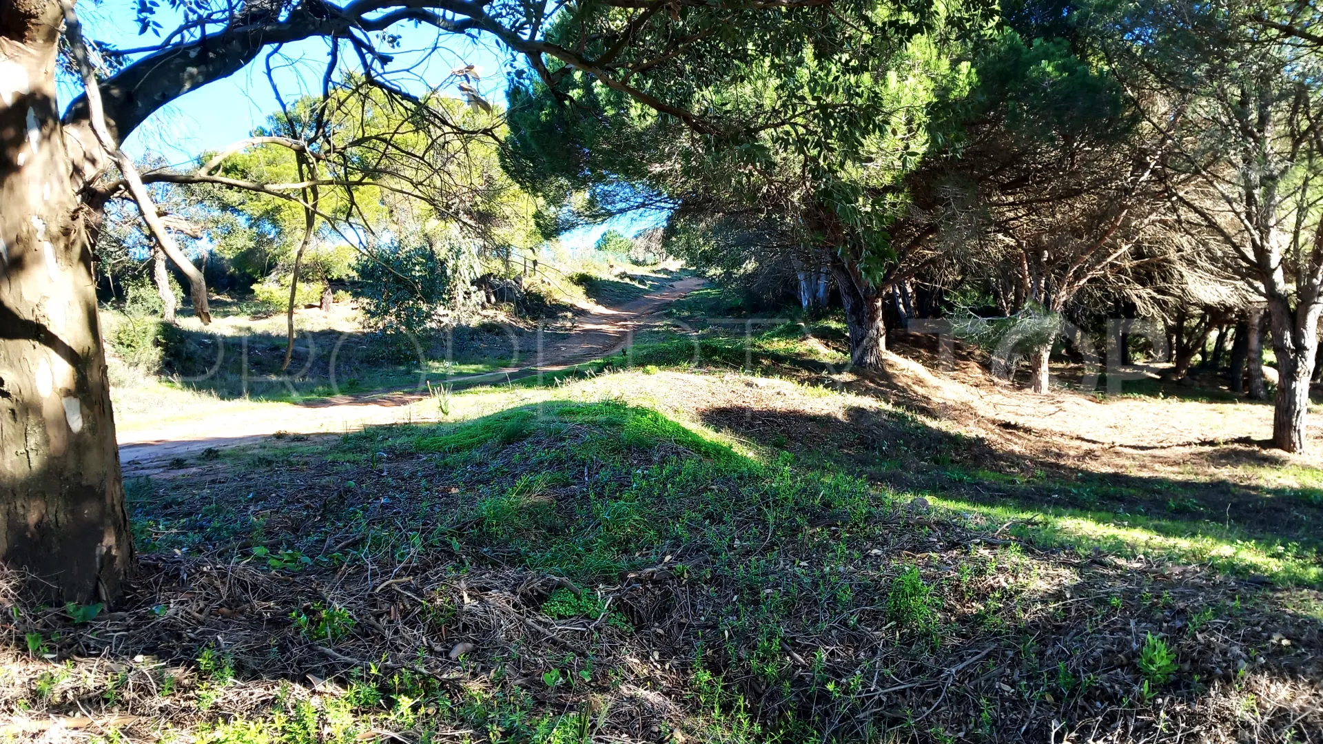 Buy plot in Zona M