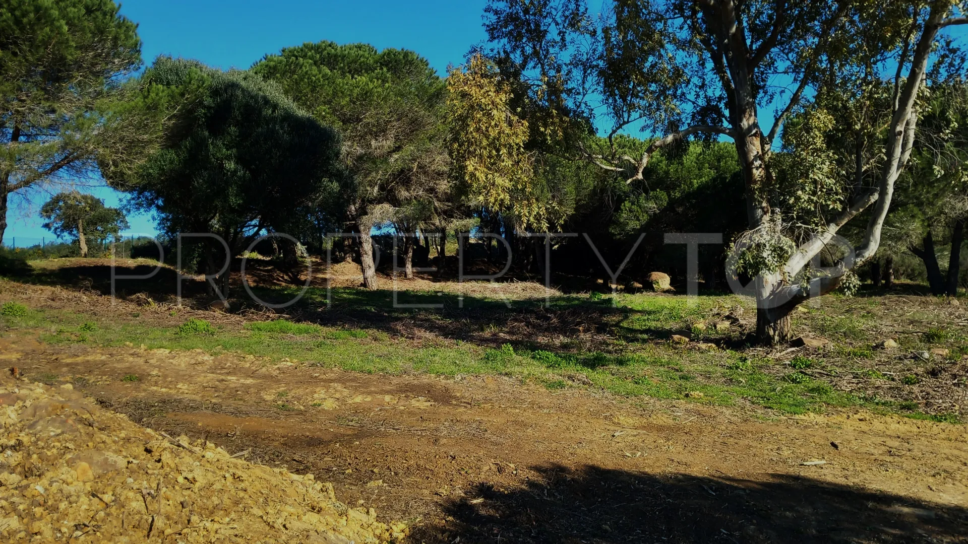 Buy plot in Zona M