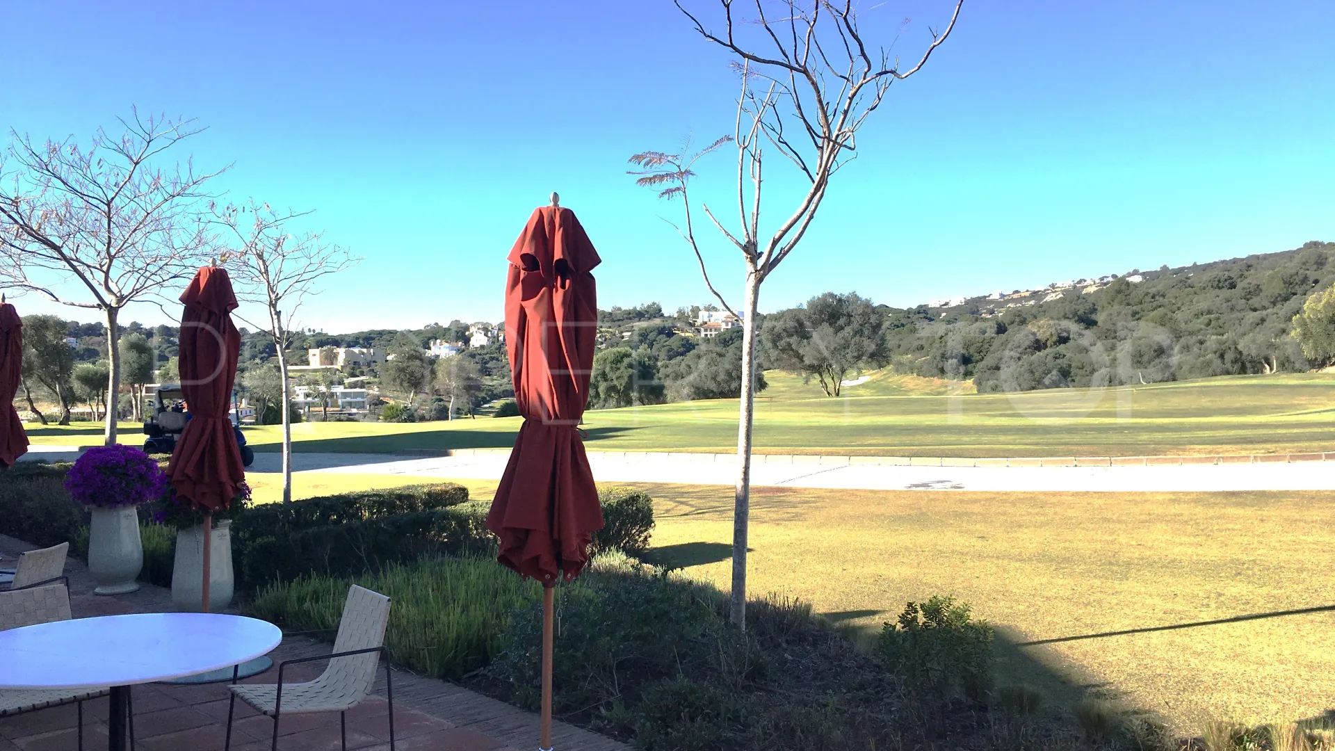 Buy plot in Zona M