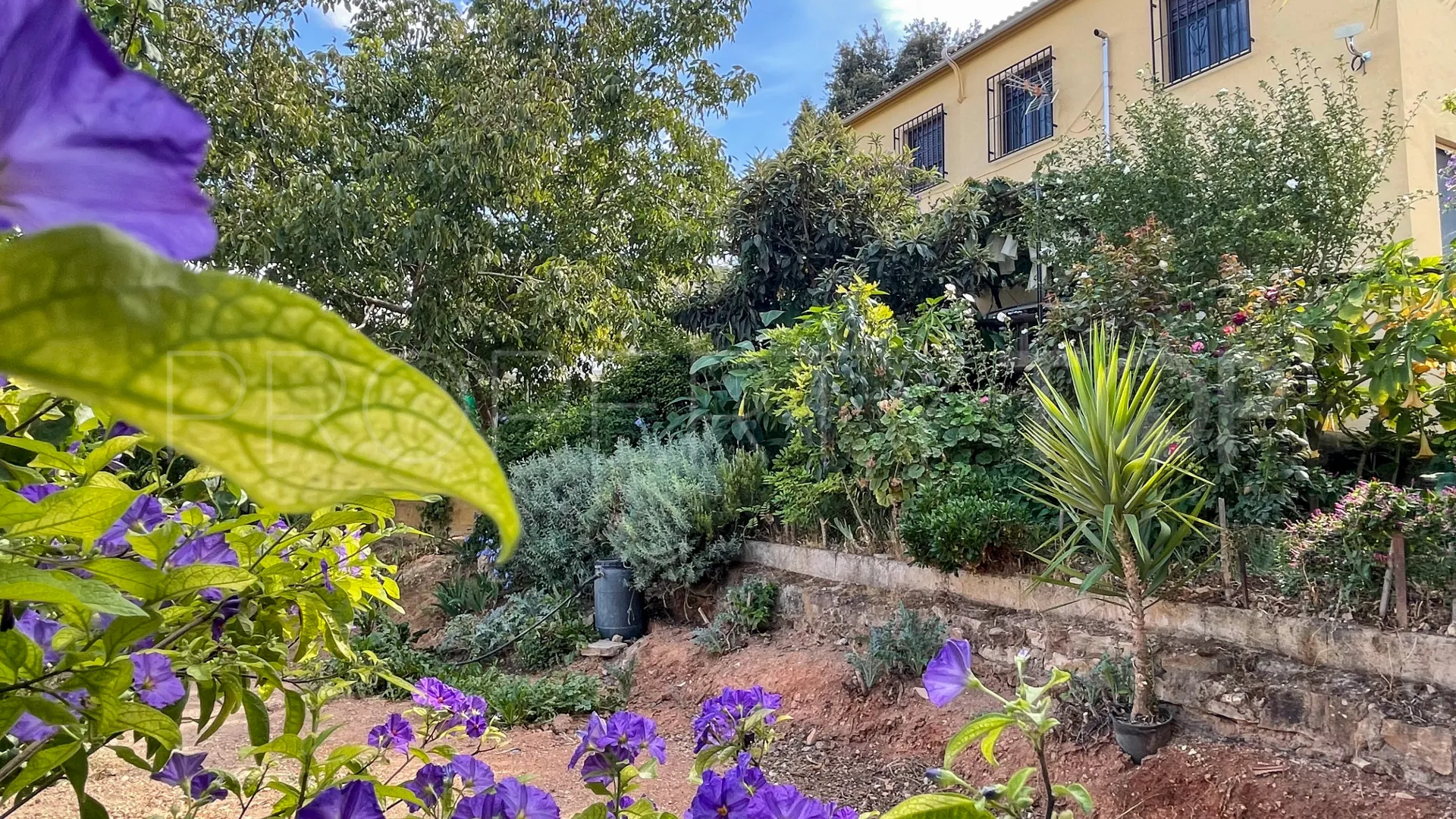 Iznajar, pareado en venta