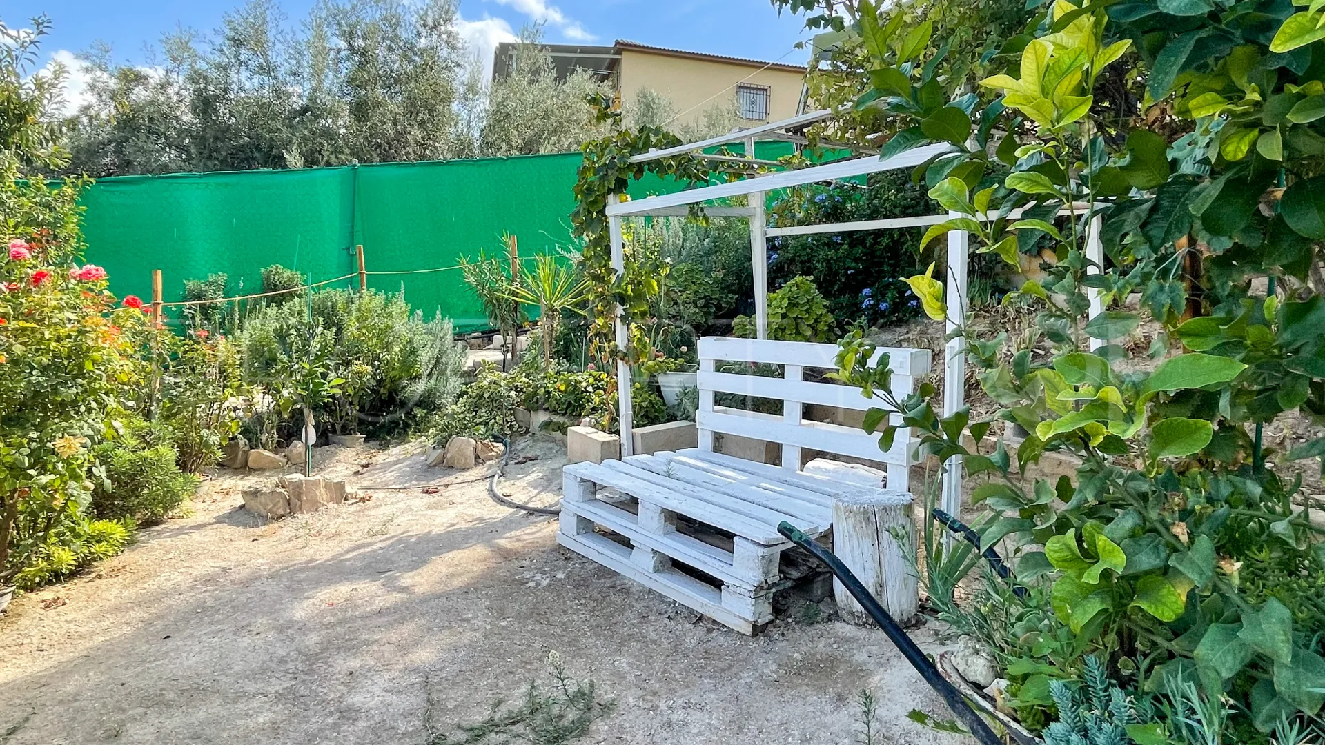 Iznajar, pareado en venta