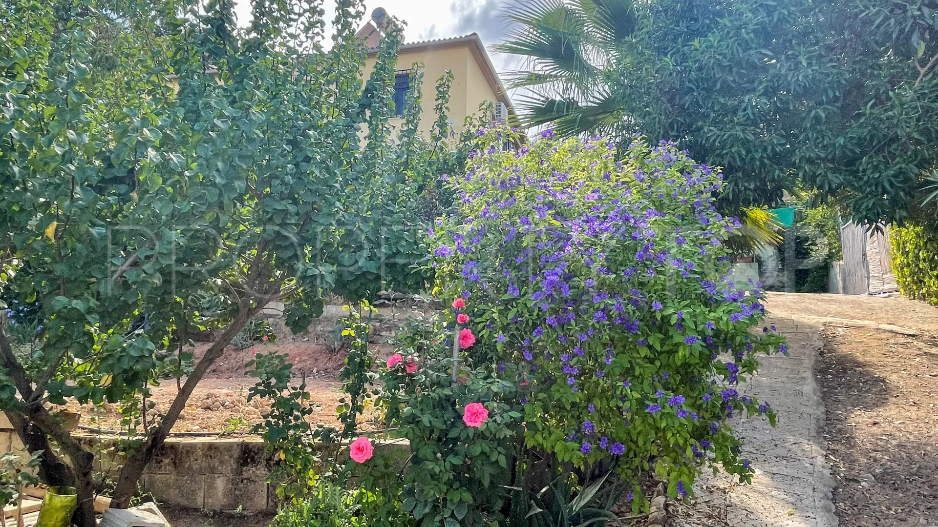 Iznajar, pareado en venta