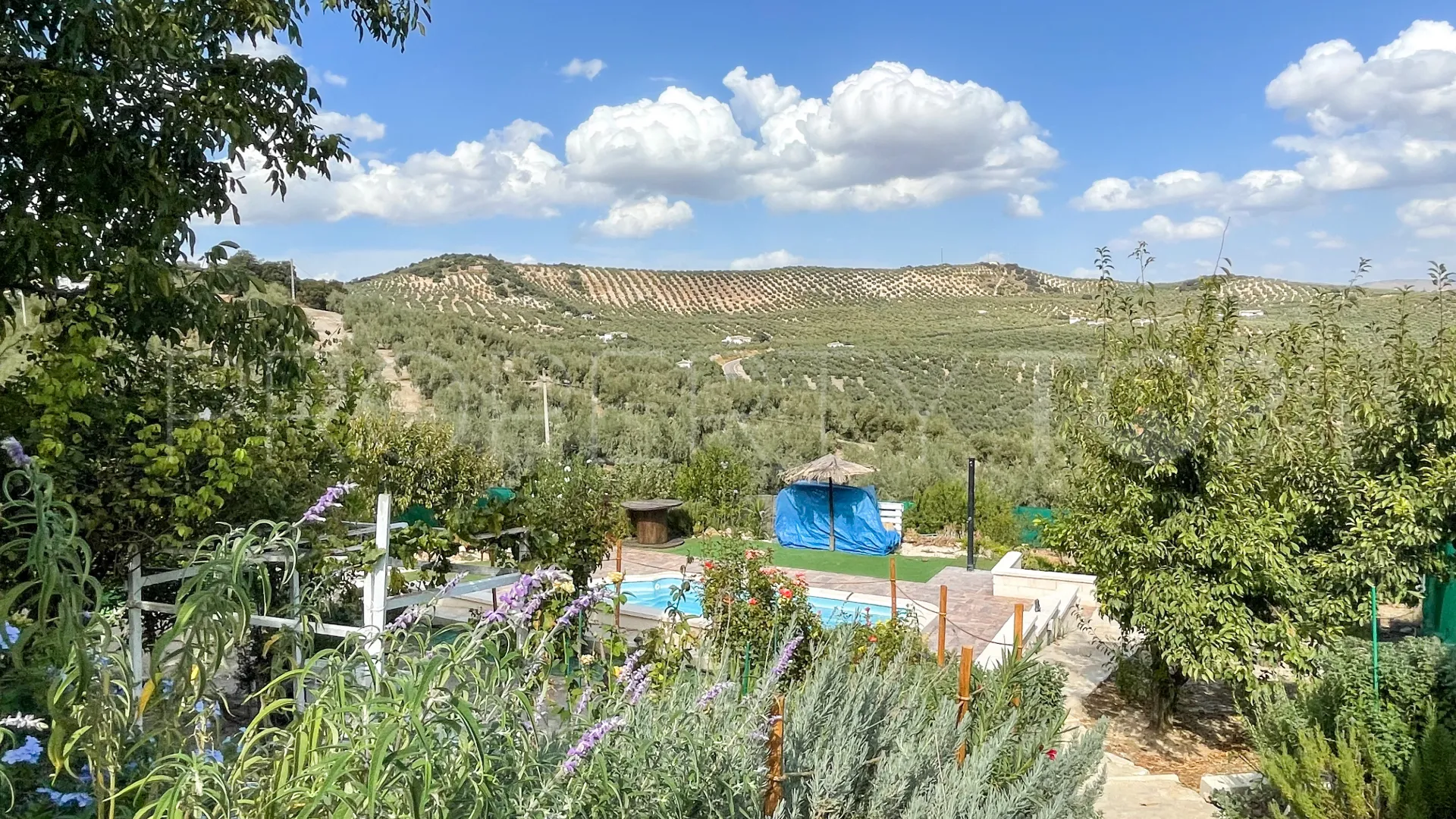 Iznajar, pareado en venta