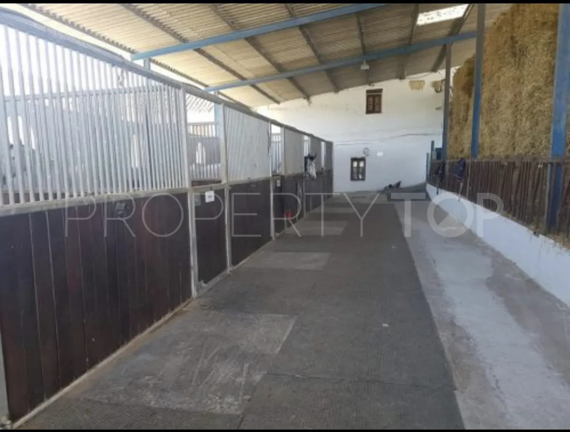 Mollina, cortijo en venta