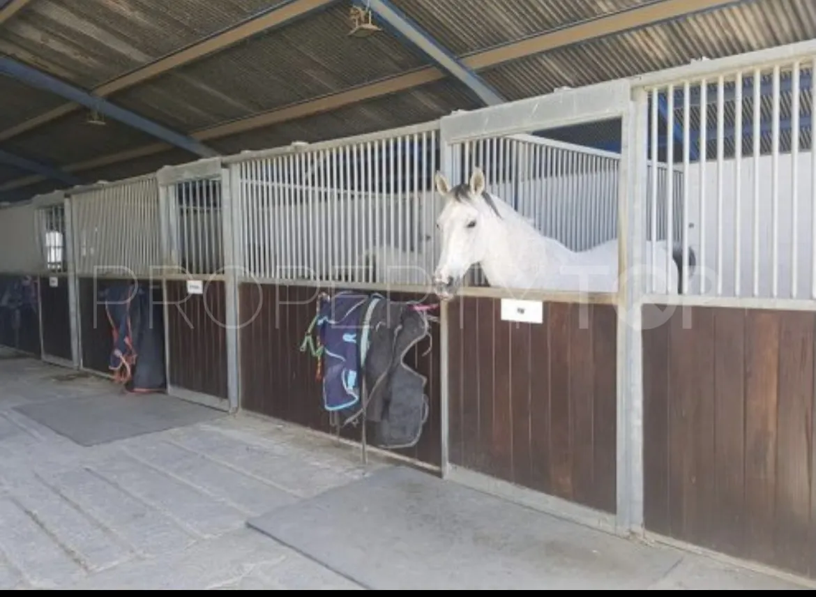 Mollina, cortijo en venta