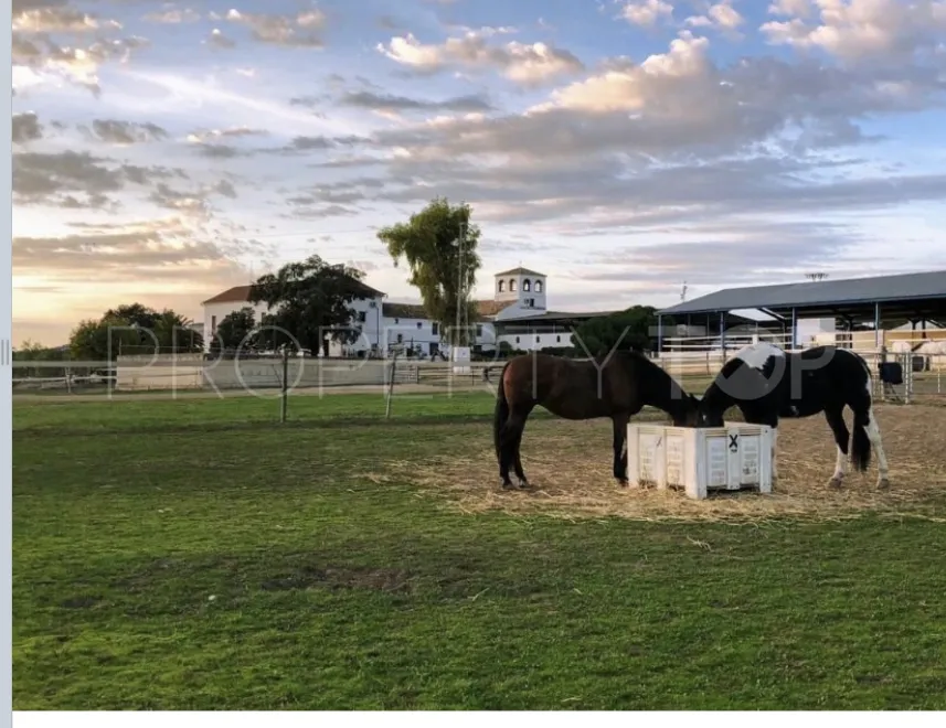 Mollina, cortijo en venta