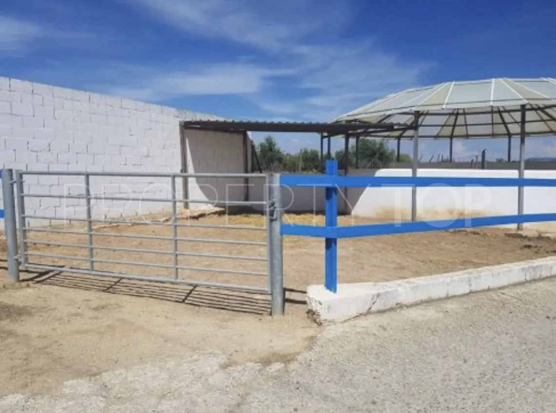 Mollina, cortijo en venta