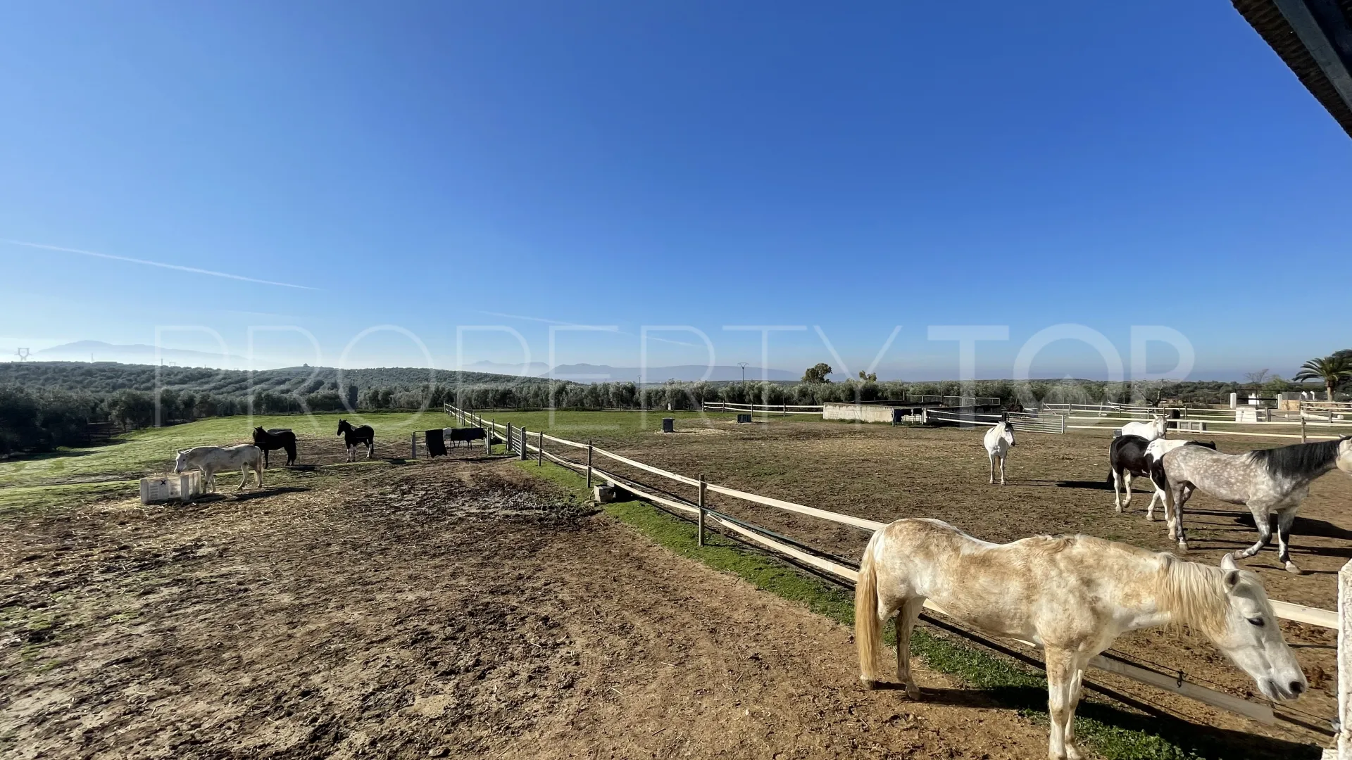 Mollina, cortijo en venta