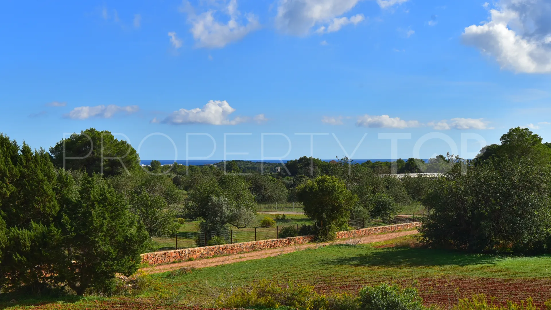 Es Canar mansion for sale