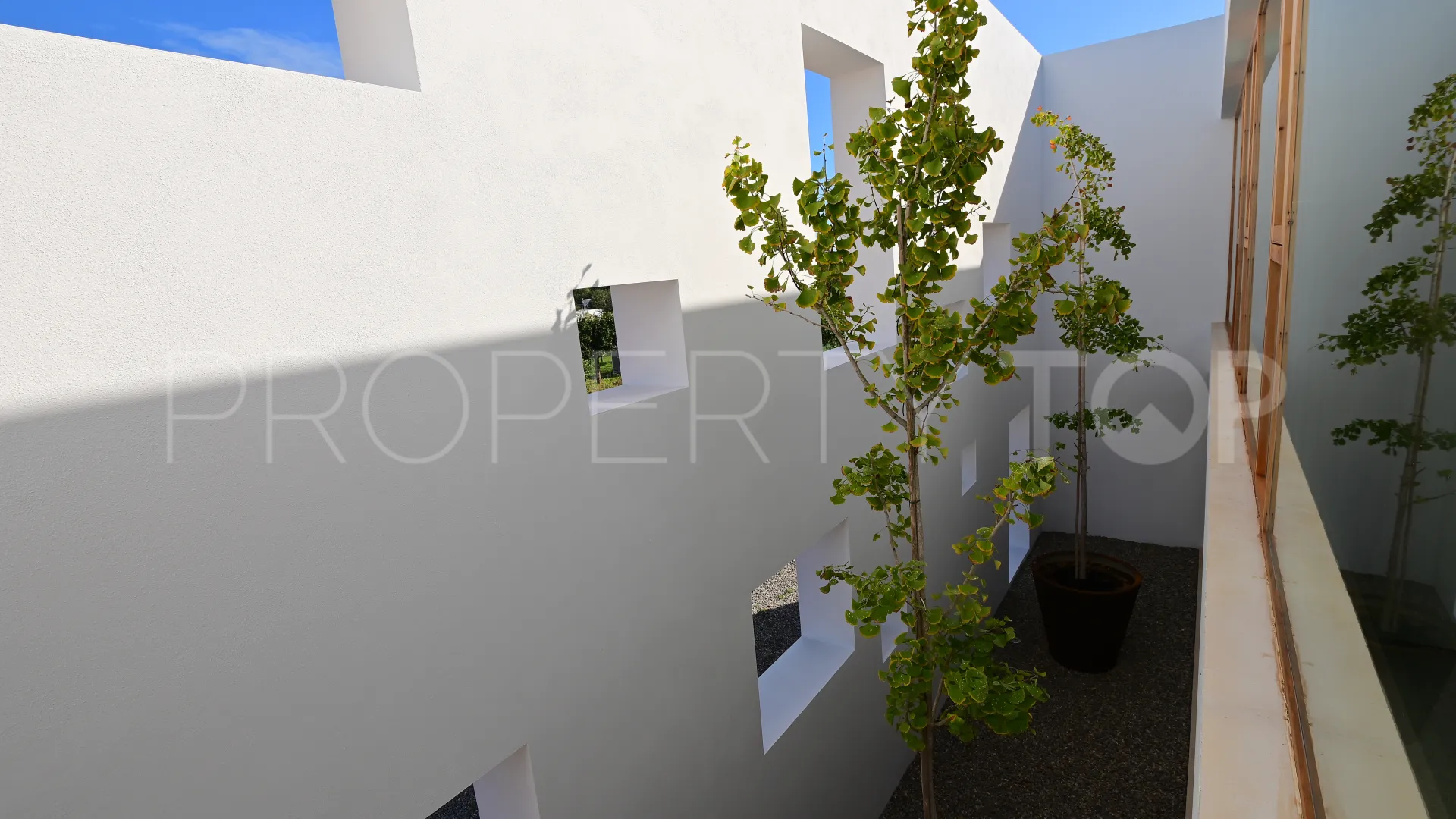 Es Canar mansion for sale