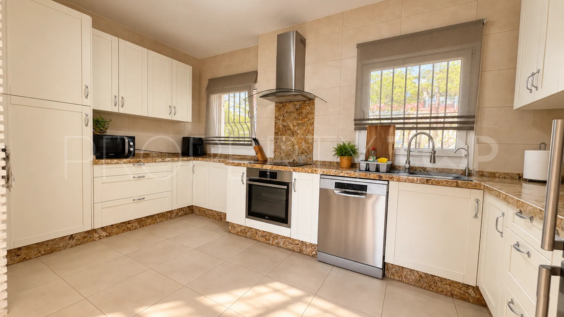 Buena Vista house for sale