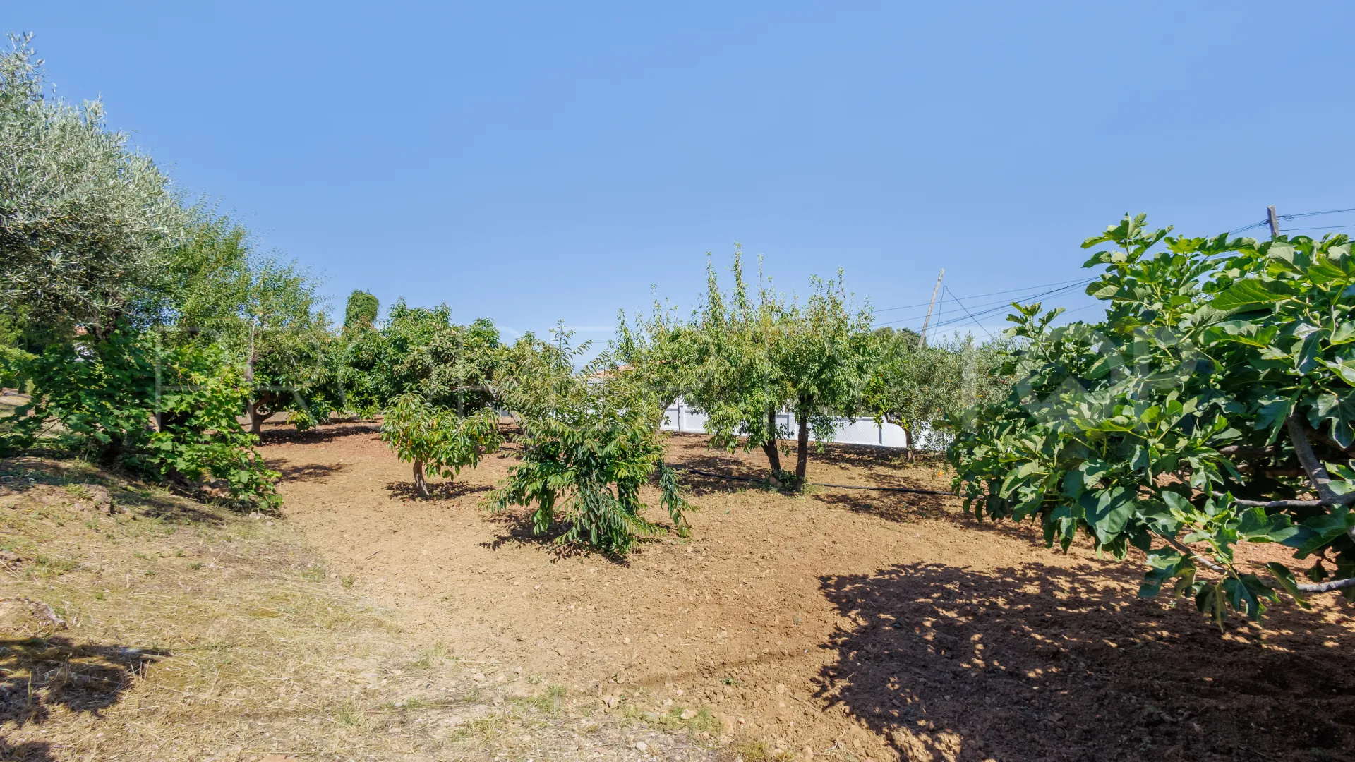 For sale Alhaurin el Grande 6 bedrooms villa