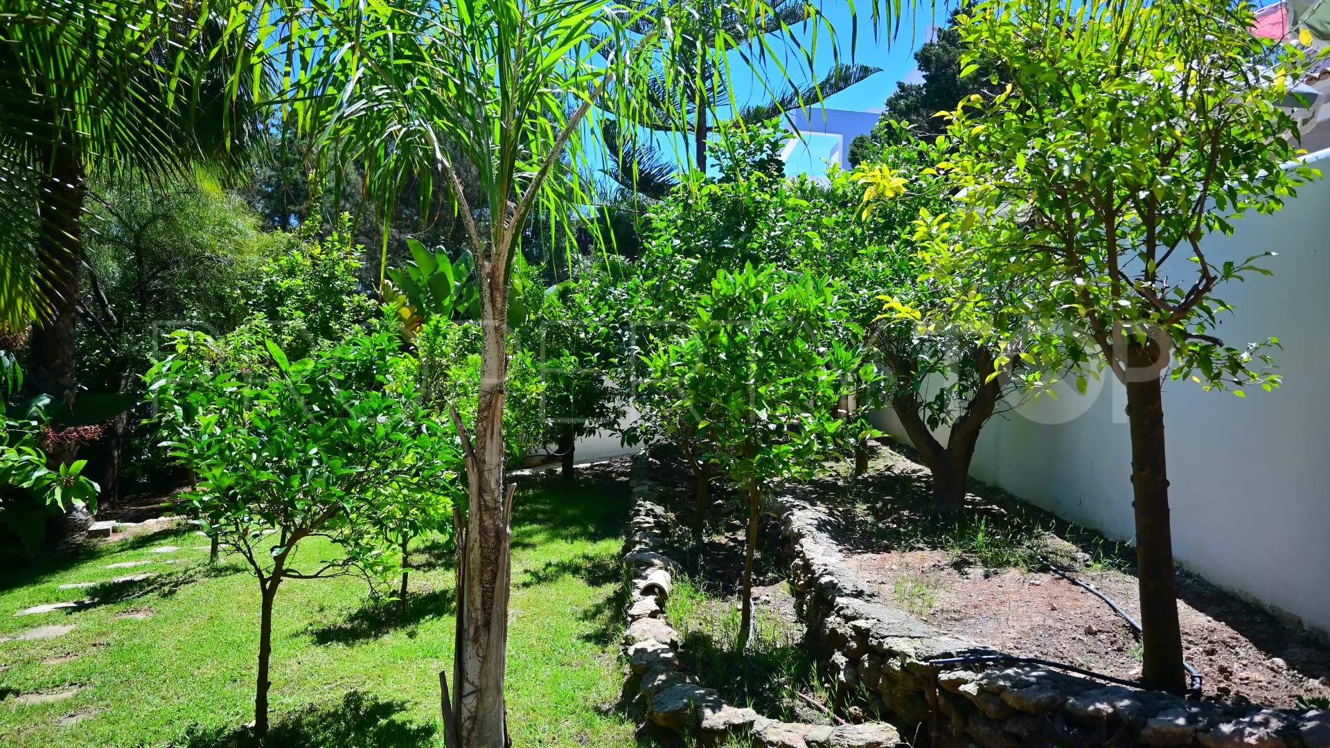 5 bedrooms San Carlos chalet for sale