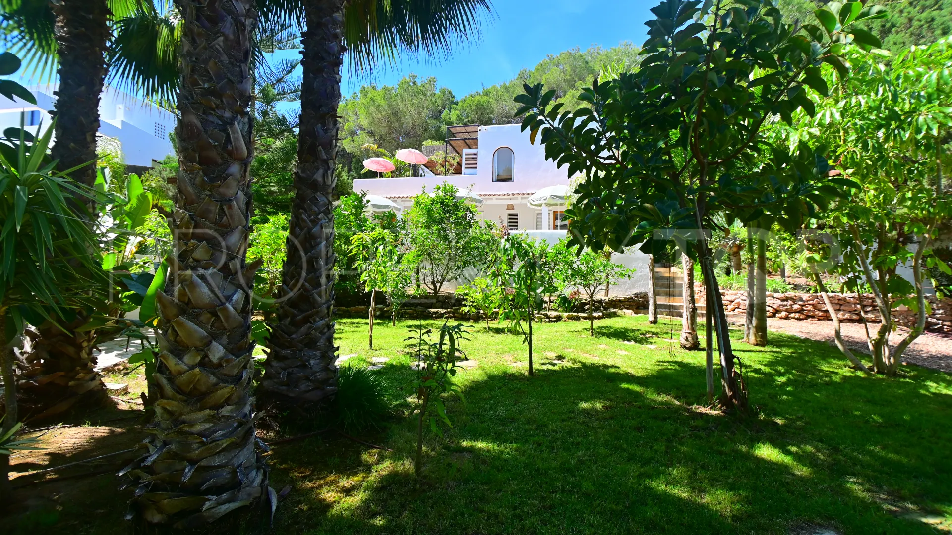 5 bedrooms San Carlos chalet for sale