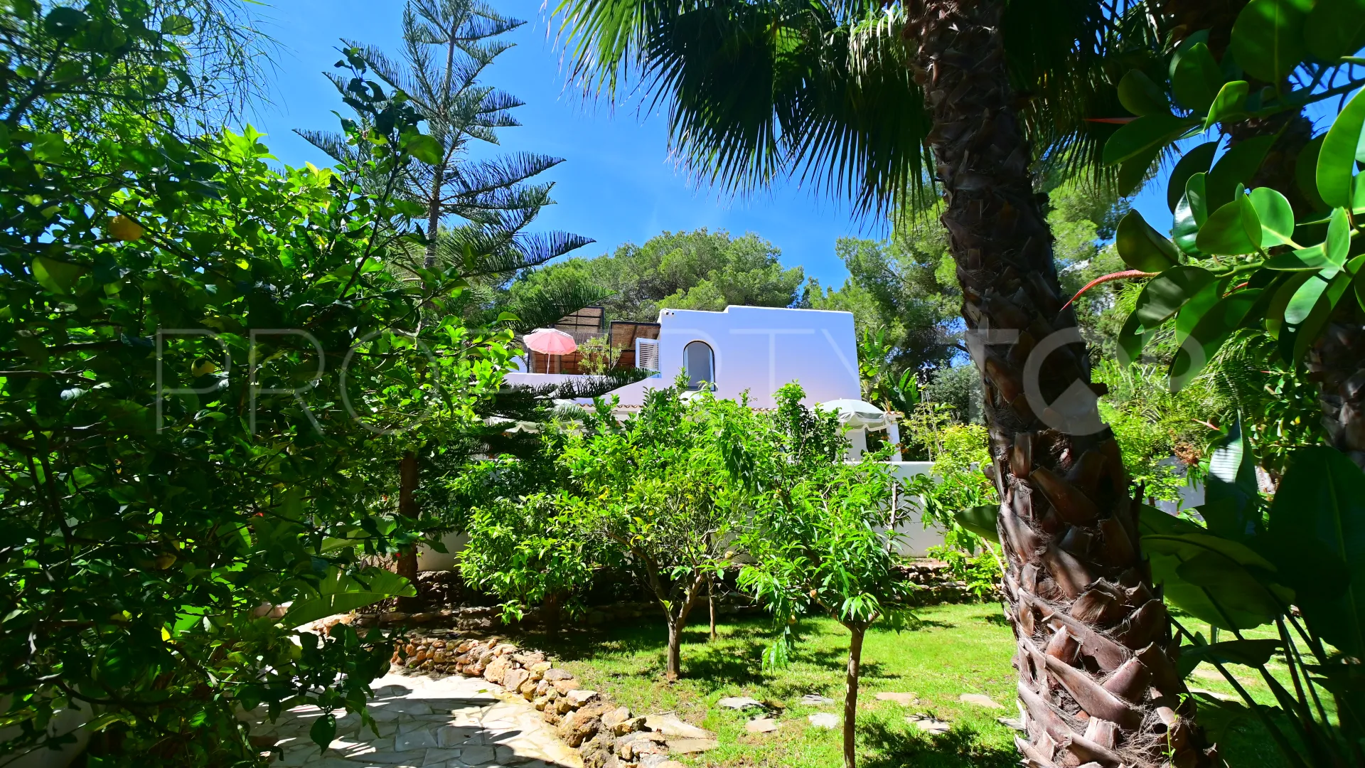 5 bedrooms San Carlos chalet for sale
