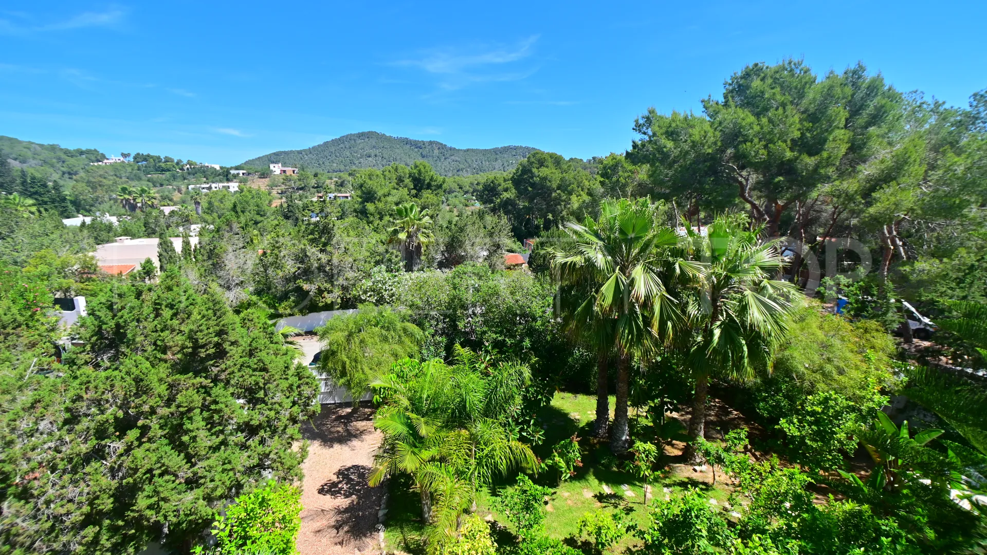 5 bedrooms San Carlos chalet for sale